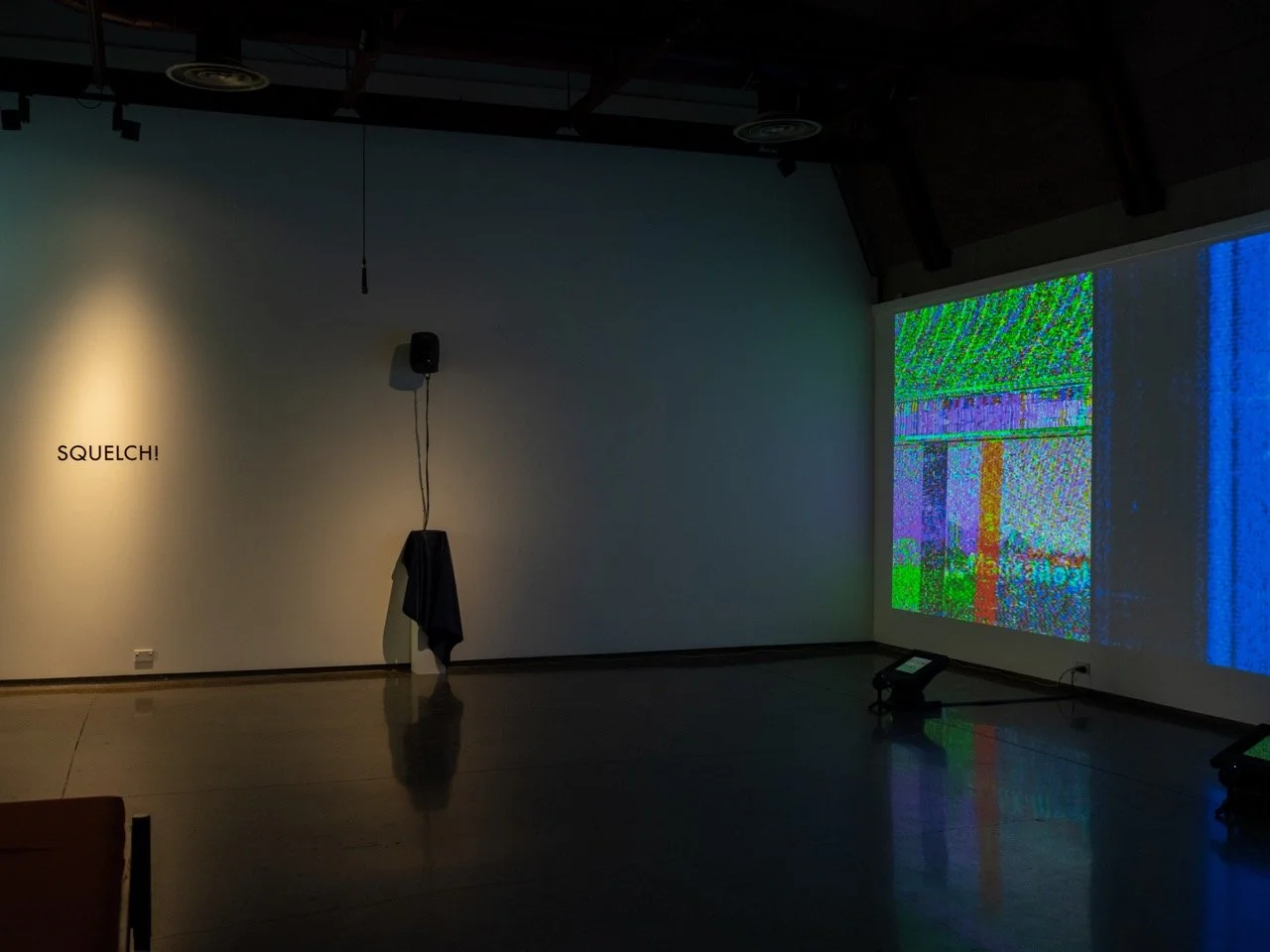 CJ_Virginia_SQUELCH-4 Large.jpeg