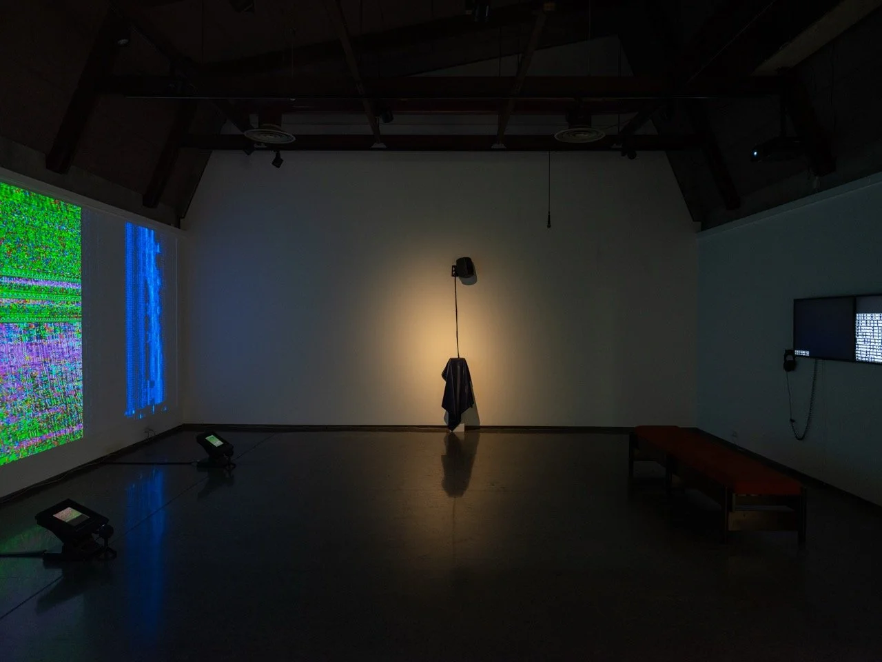 CJ_Virginia_SQUELCH-2 Large.jpeg