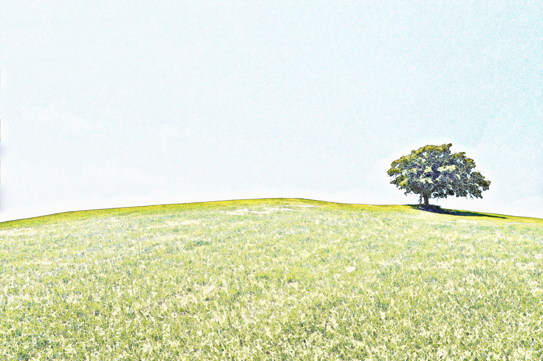 tree-2.jpg