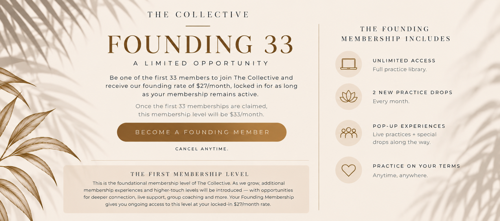 Your founding rate applies to this membership tier. Additional tiers and premium experiences may be offered separately.