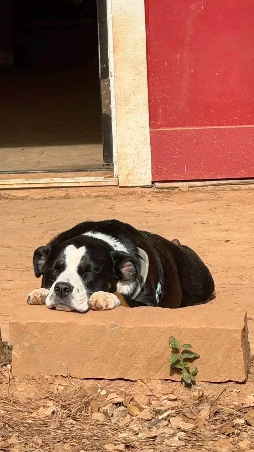 designing-with-less-home-orgainzing-gift-cards-available-in-home