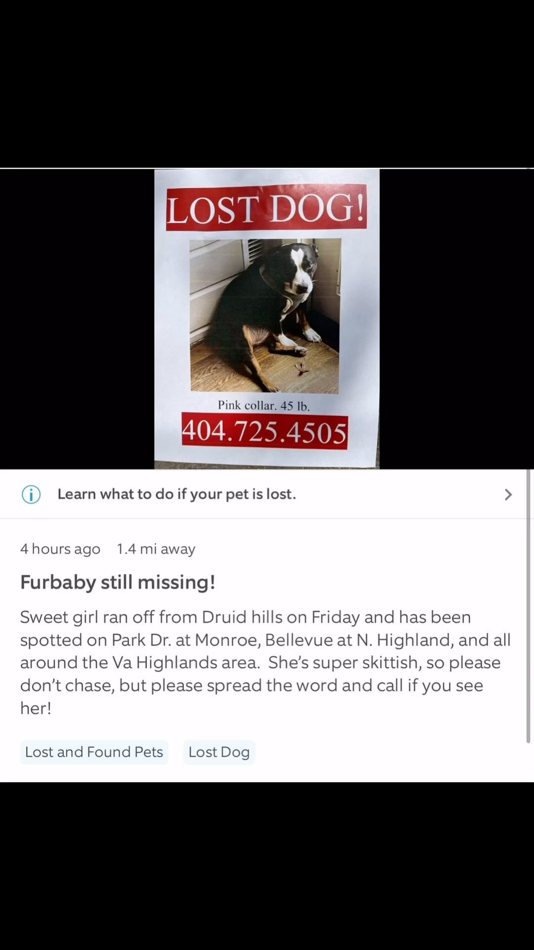 designing-with-less-home-orgainzing-gift-cards-available-in-home