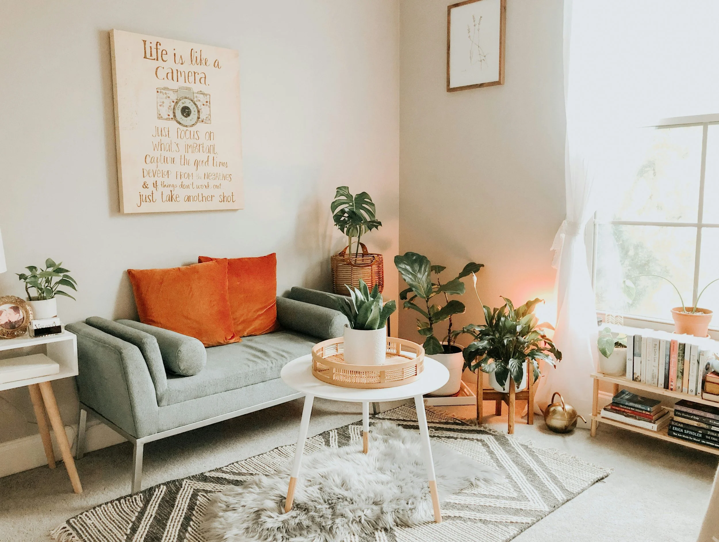 Living room with plants and small bookcase