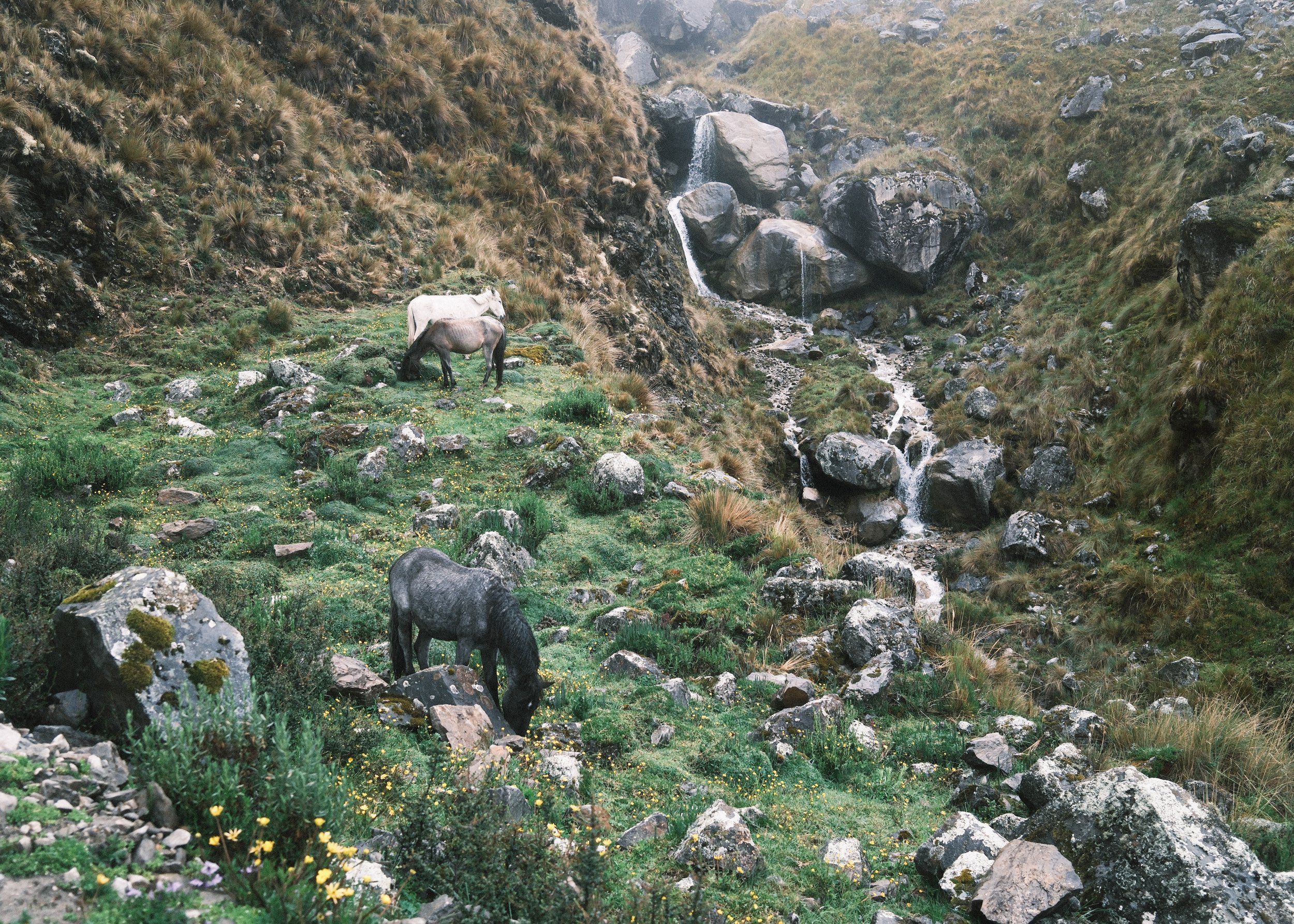 DSCF3705-6.jpg