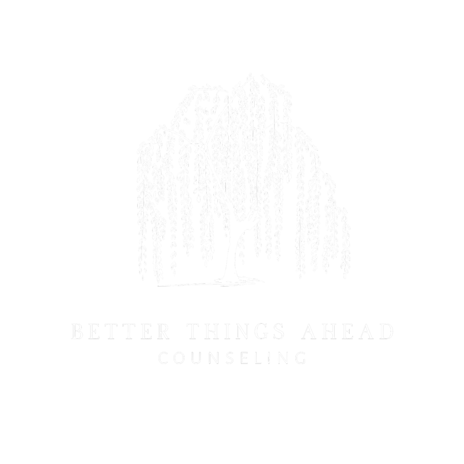 Better Things Ahead Counseling 