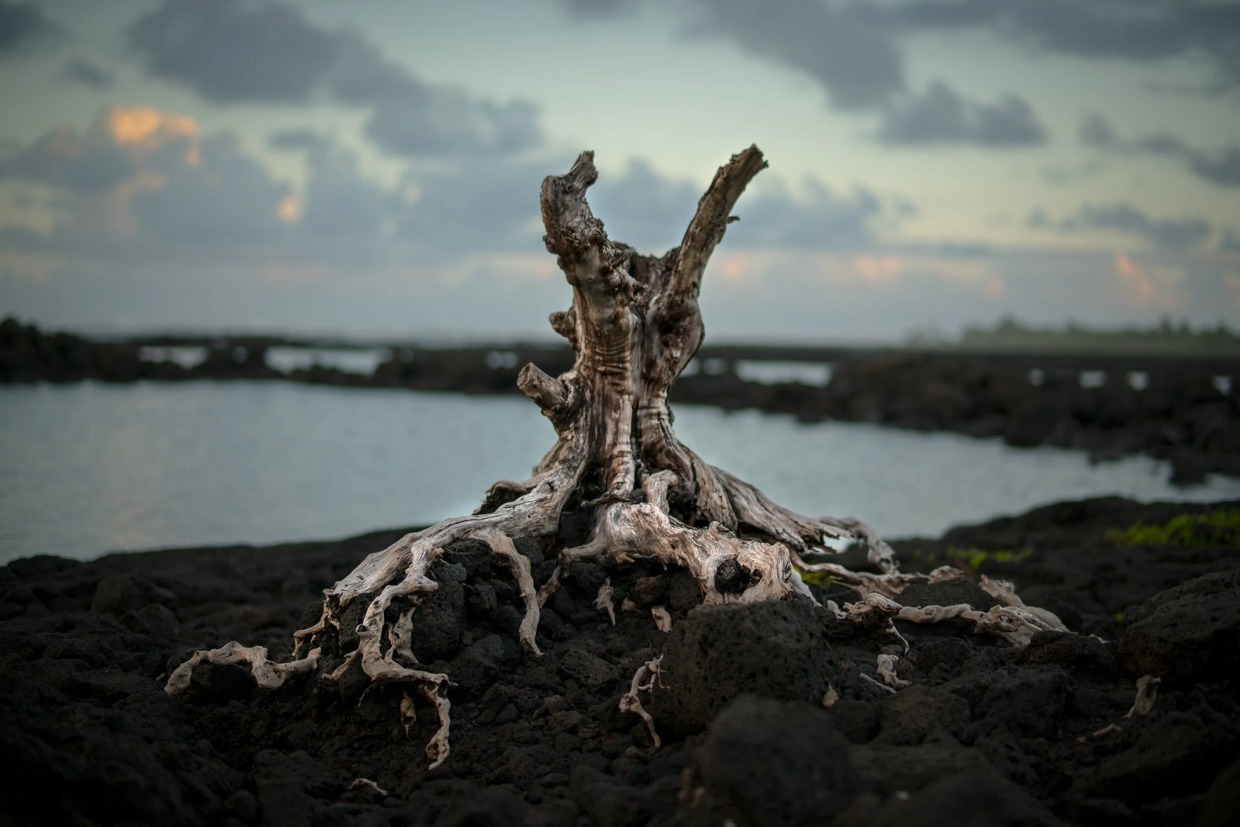 Hypnotherapy: Transforming The Root of The Problem