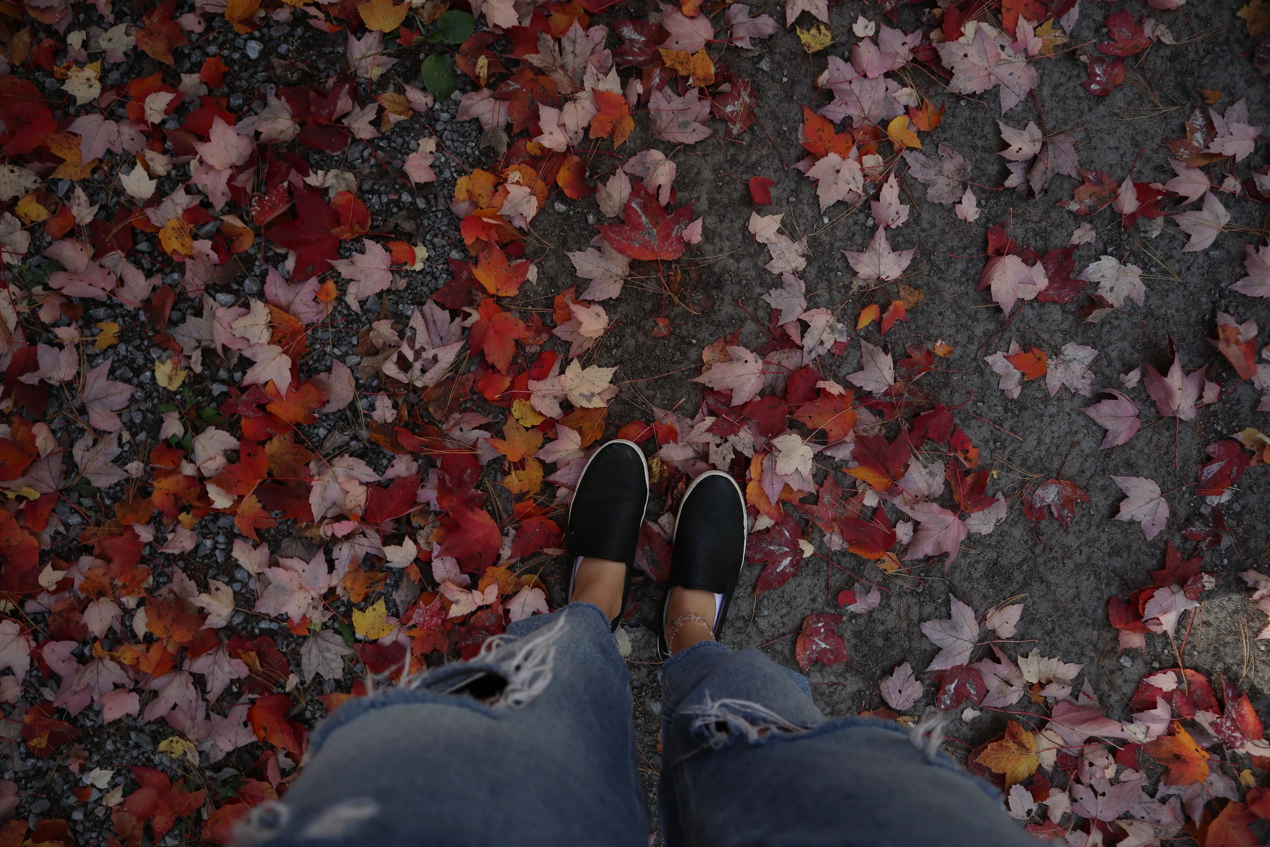 Colours of Change