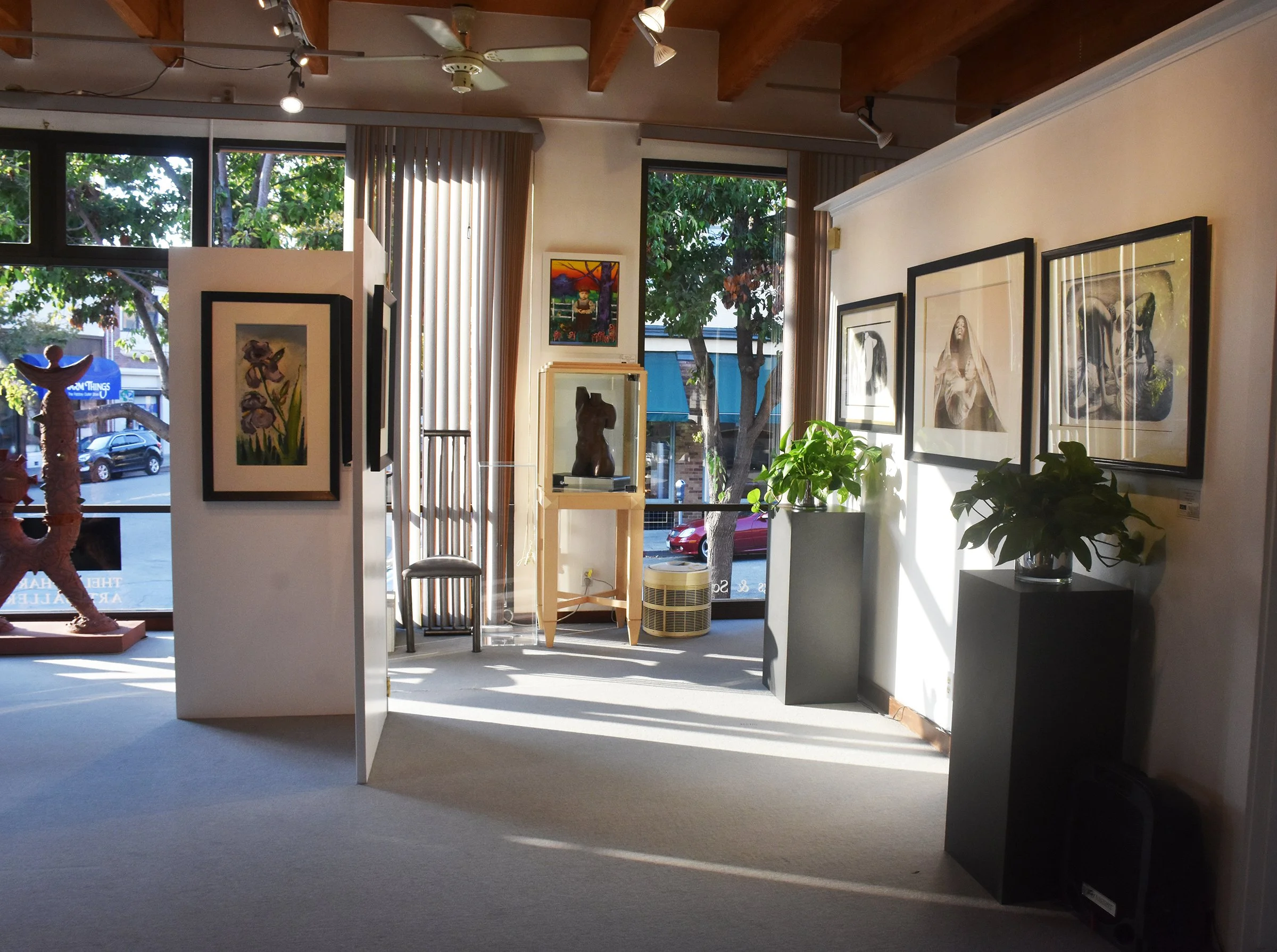 DSC_0375 yes copy.JPG