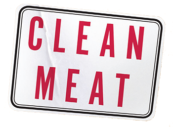 CLEAN MEAT