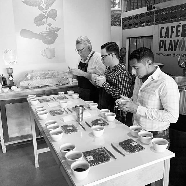 Cupping 
Harvest 19-20
☕
🍍🥭🥝🍋🍉🍓🍇🍊🍯🍫
#HonduranCoffee 
#CAFESMO 
#Specialycoffeegrowers