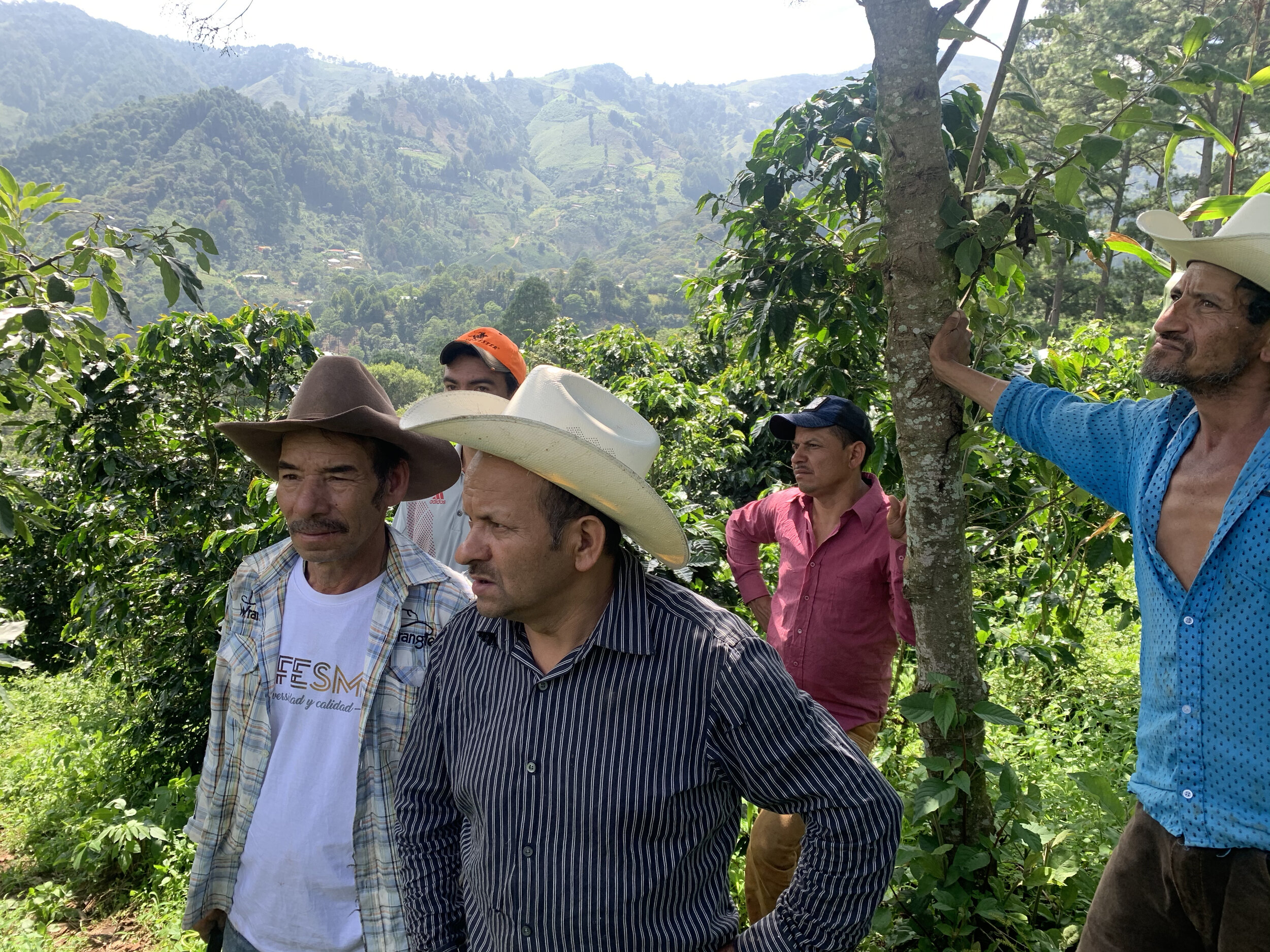 algunos de nuestros productores en la zona de El Pinal.