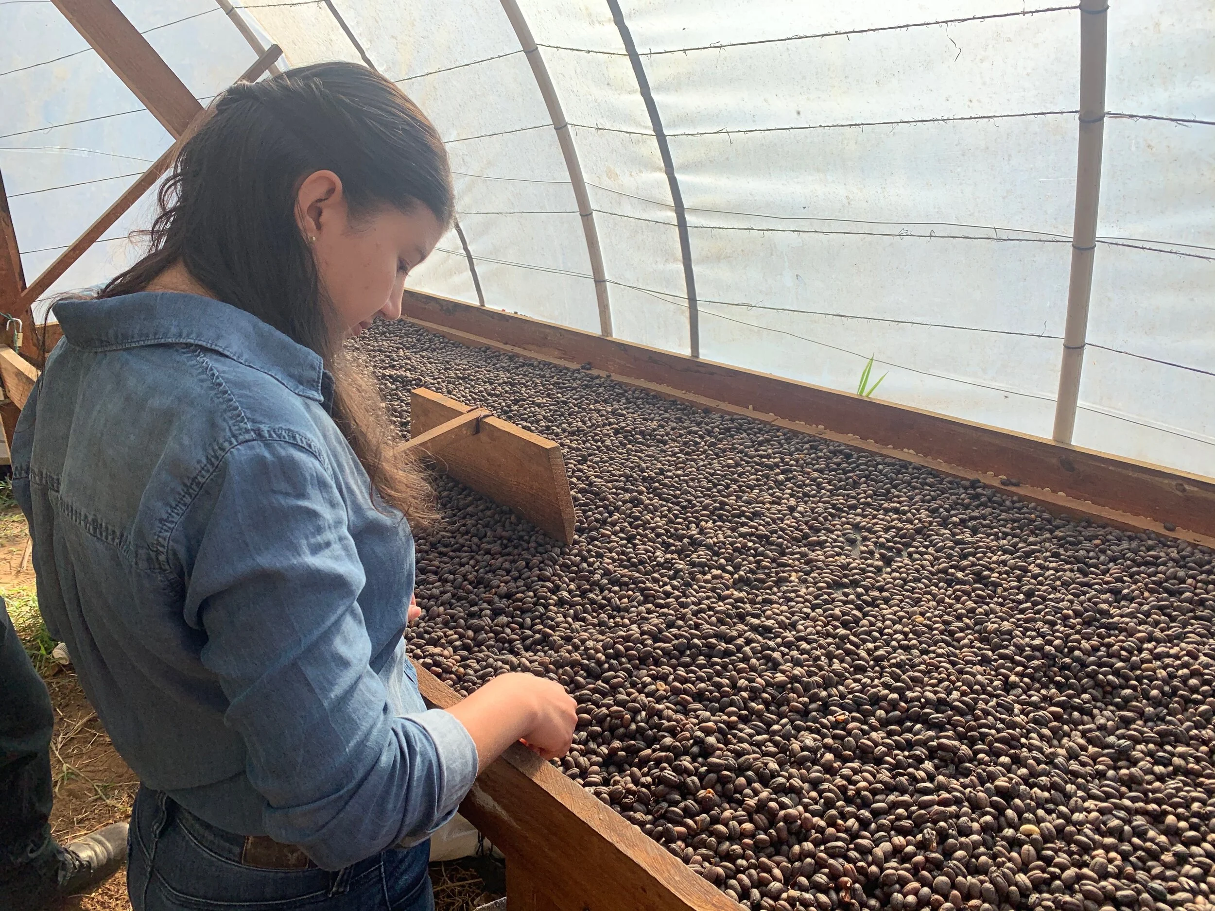 Natural Sitio Web.jpeg