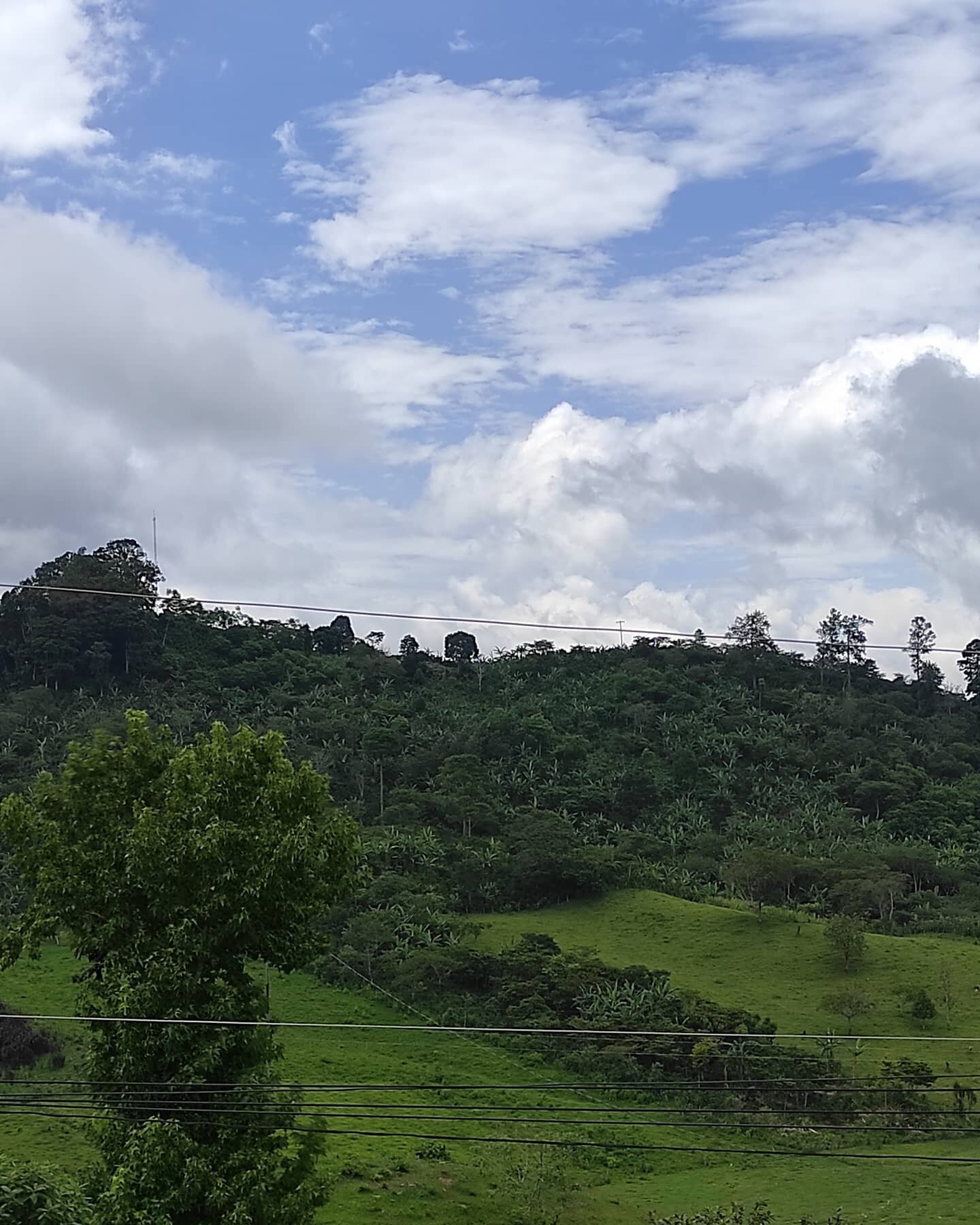 Muy exitosa jornada de capacitaci&oacute;n con los productores de San Jer&oacute;nimo.
Un grupo muy especial! 
Gracias al acompa&ntilde;amiento de HQC en el marco del  @proyectocomrural
#Honduras🇭🇳 
#Hondurancoffee #CAFESMO
#SpecialtyCoffeeGrowers 