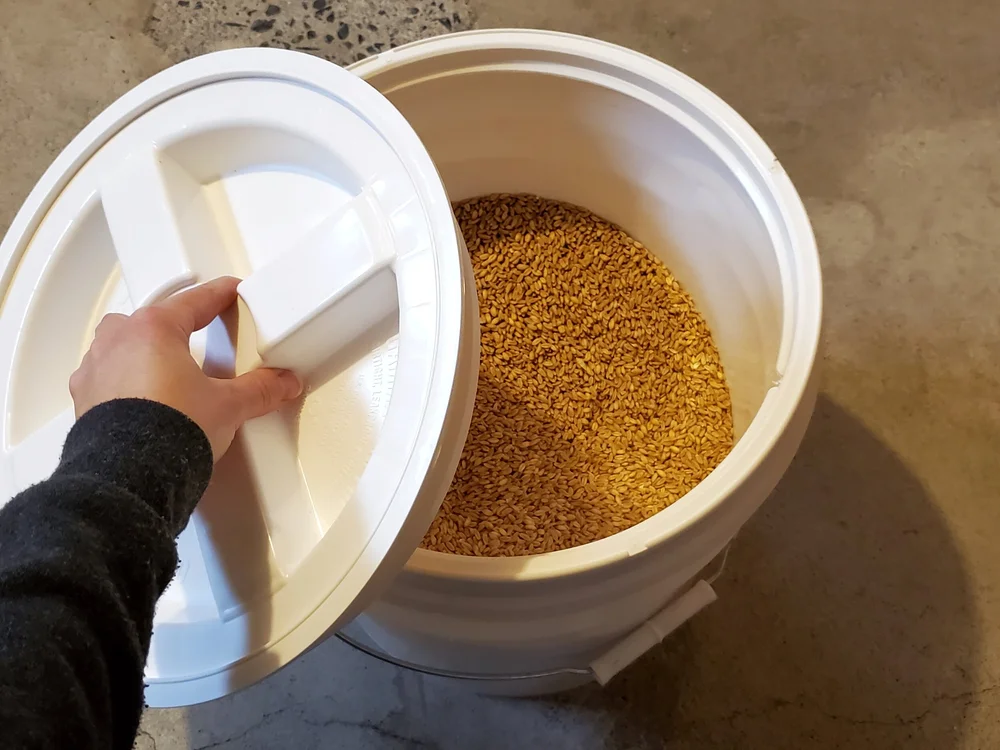 How To Store Wheat Berries Farm Fresh Wheat White Wheat Berries For Home Milling