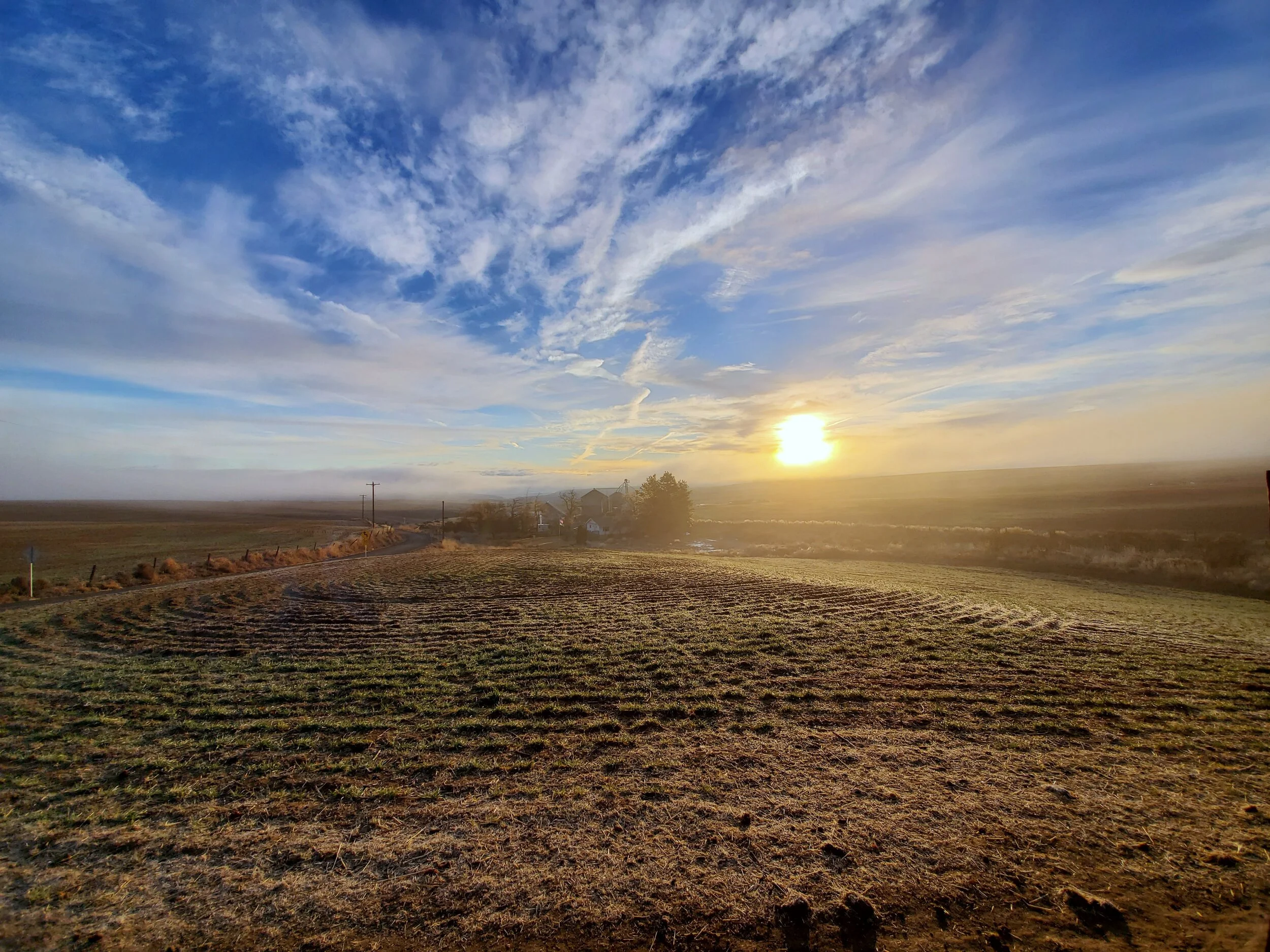 February Farm Update