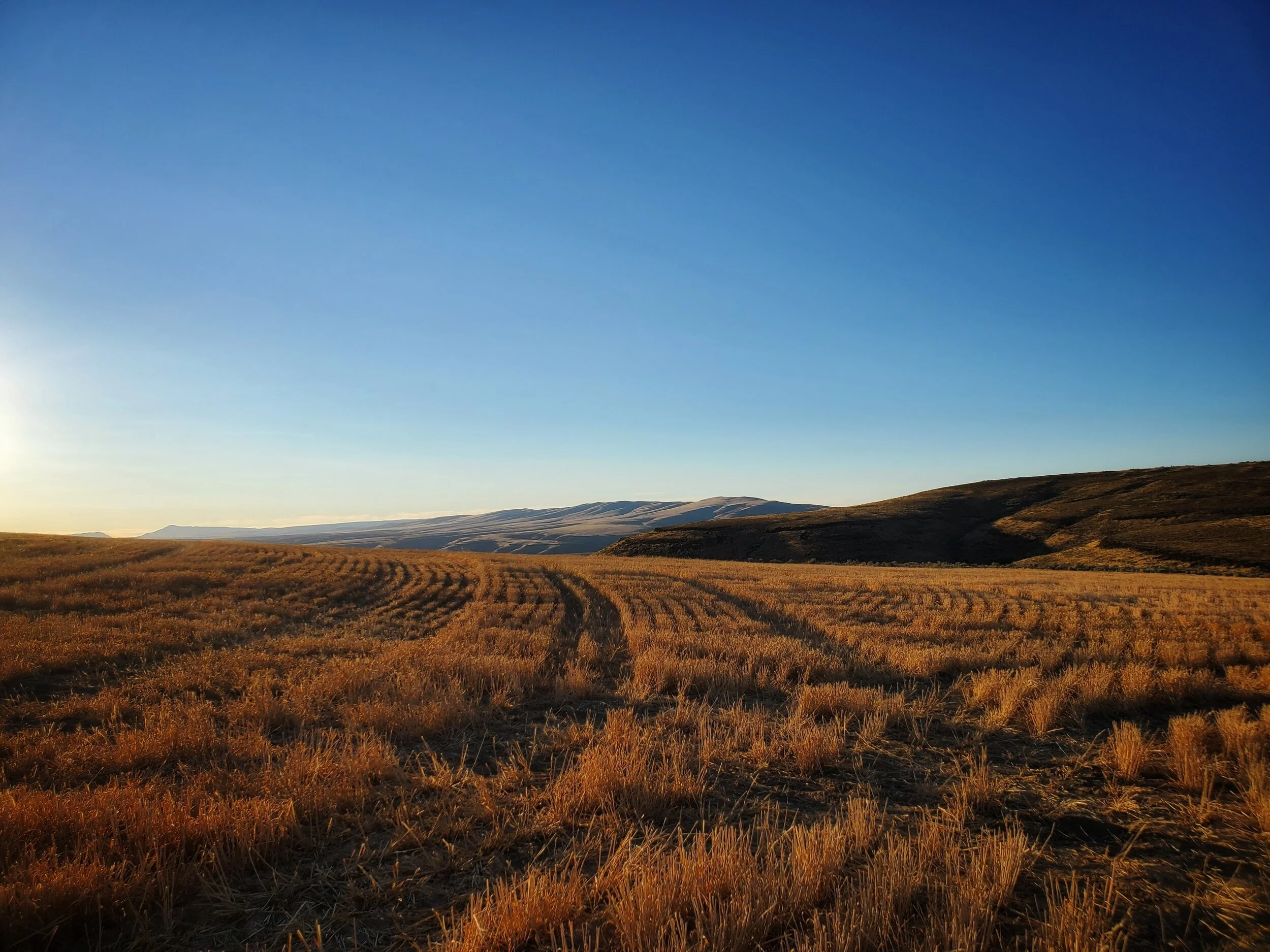 Long day of cutting coming to an end.