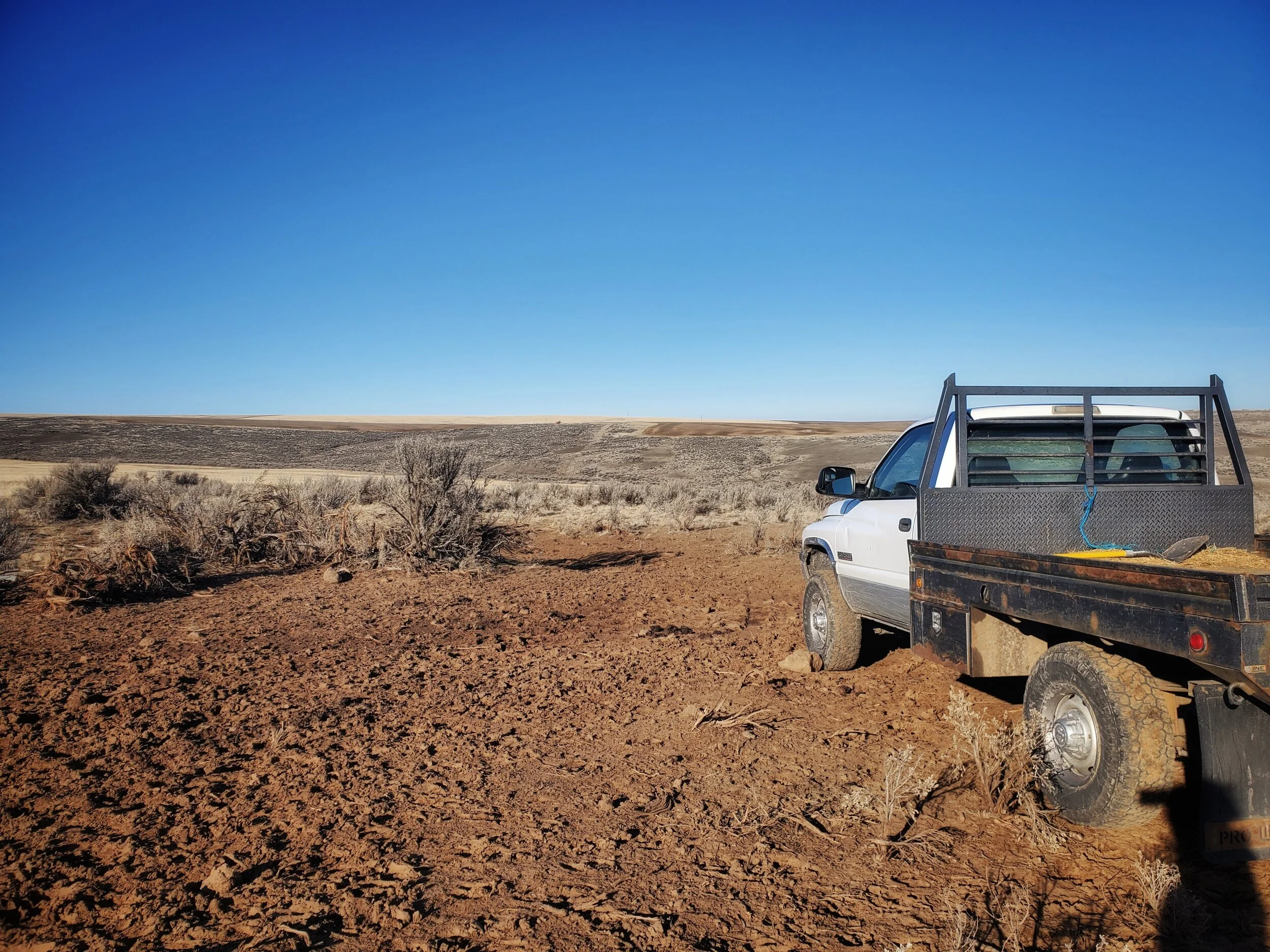 A Typical Farm Date: Spilling Coffee and Checking Water