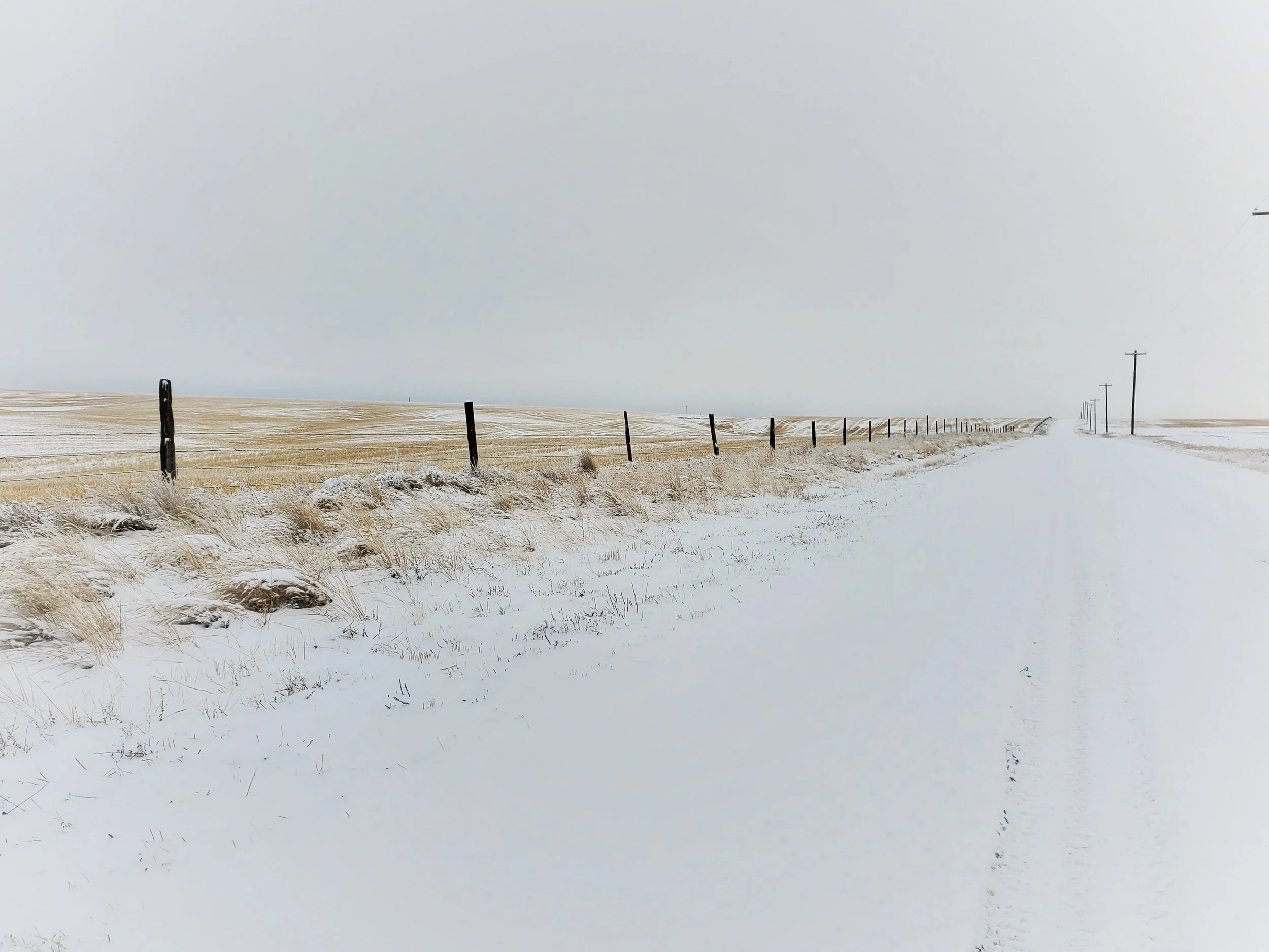 Across Snow-Covered Fields