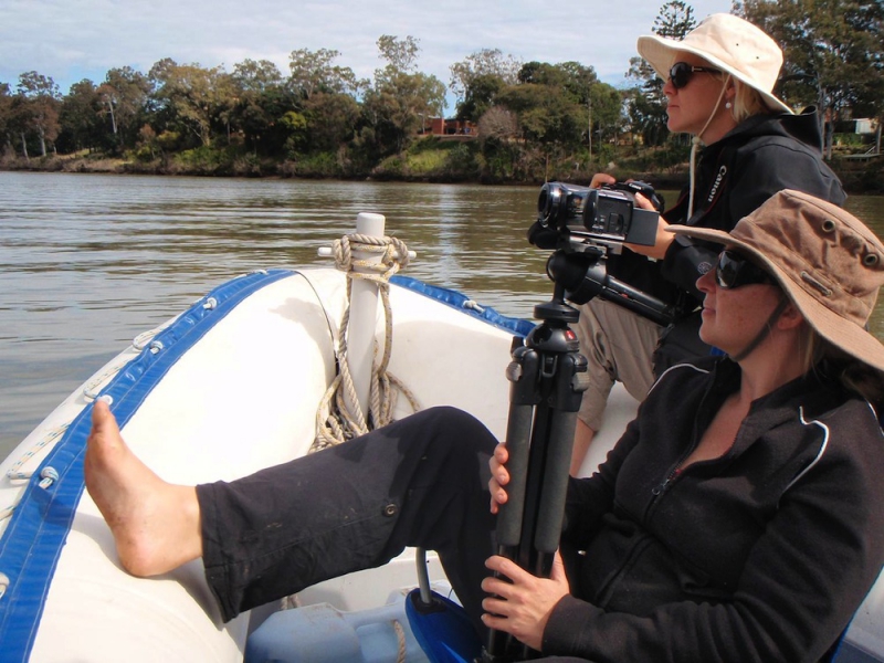 A relaxing day out surveying the Brisbane River.jpg