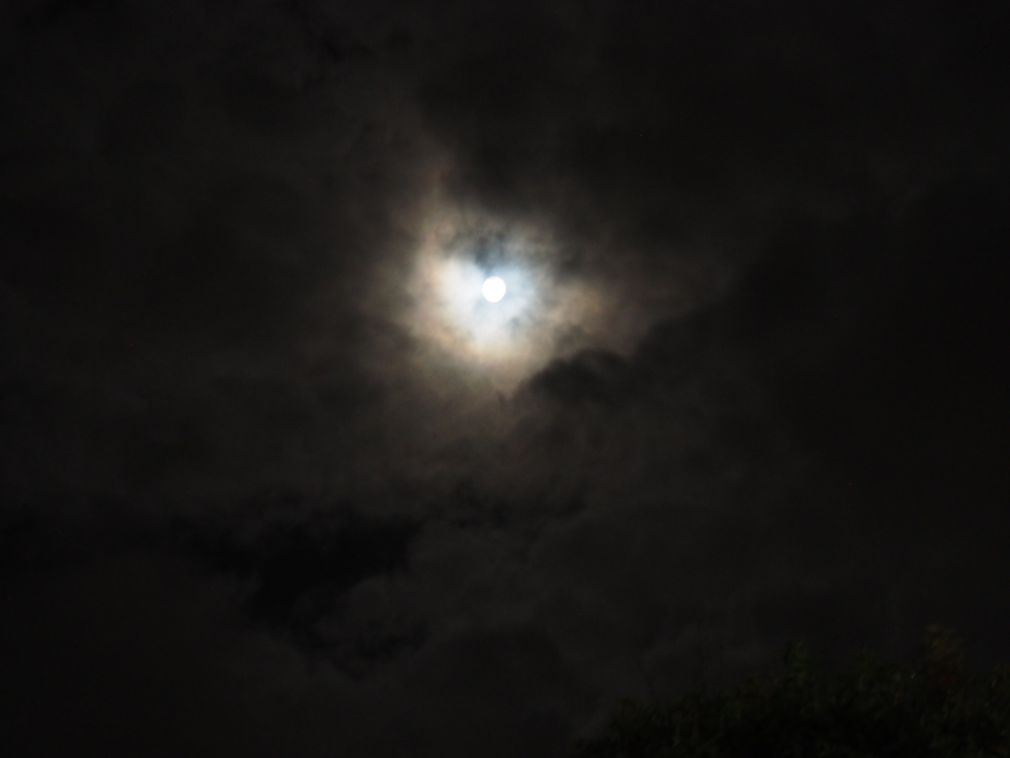 IMG_0035.jpeg