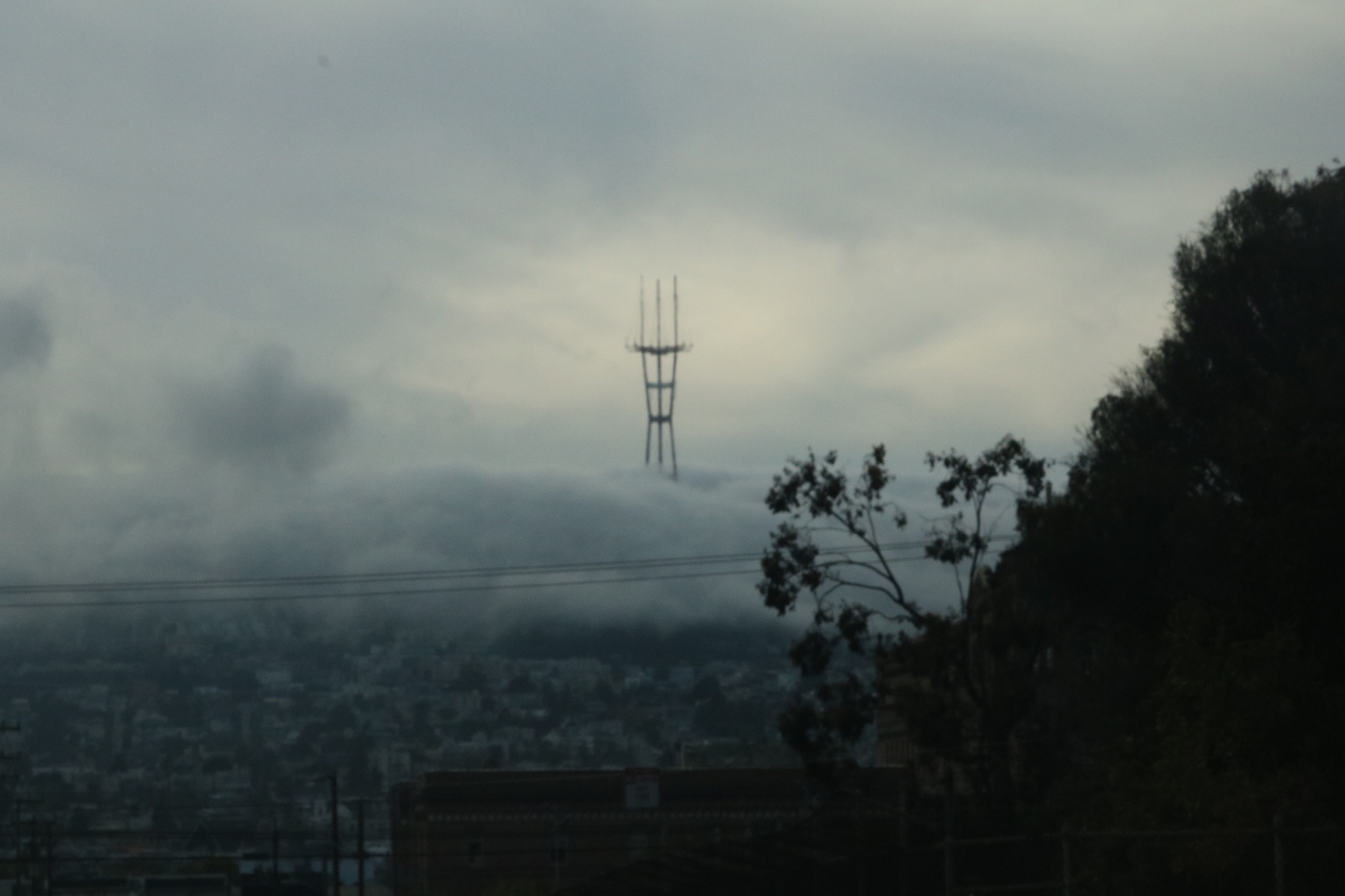 Fog city