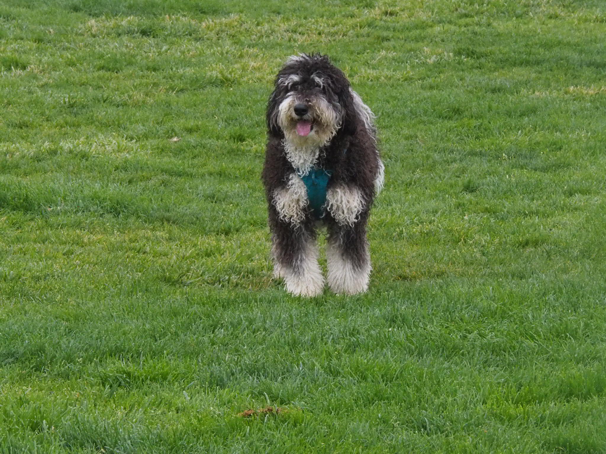 HI YOU DOING ?