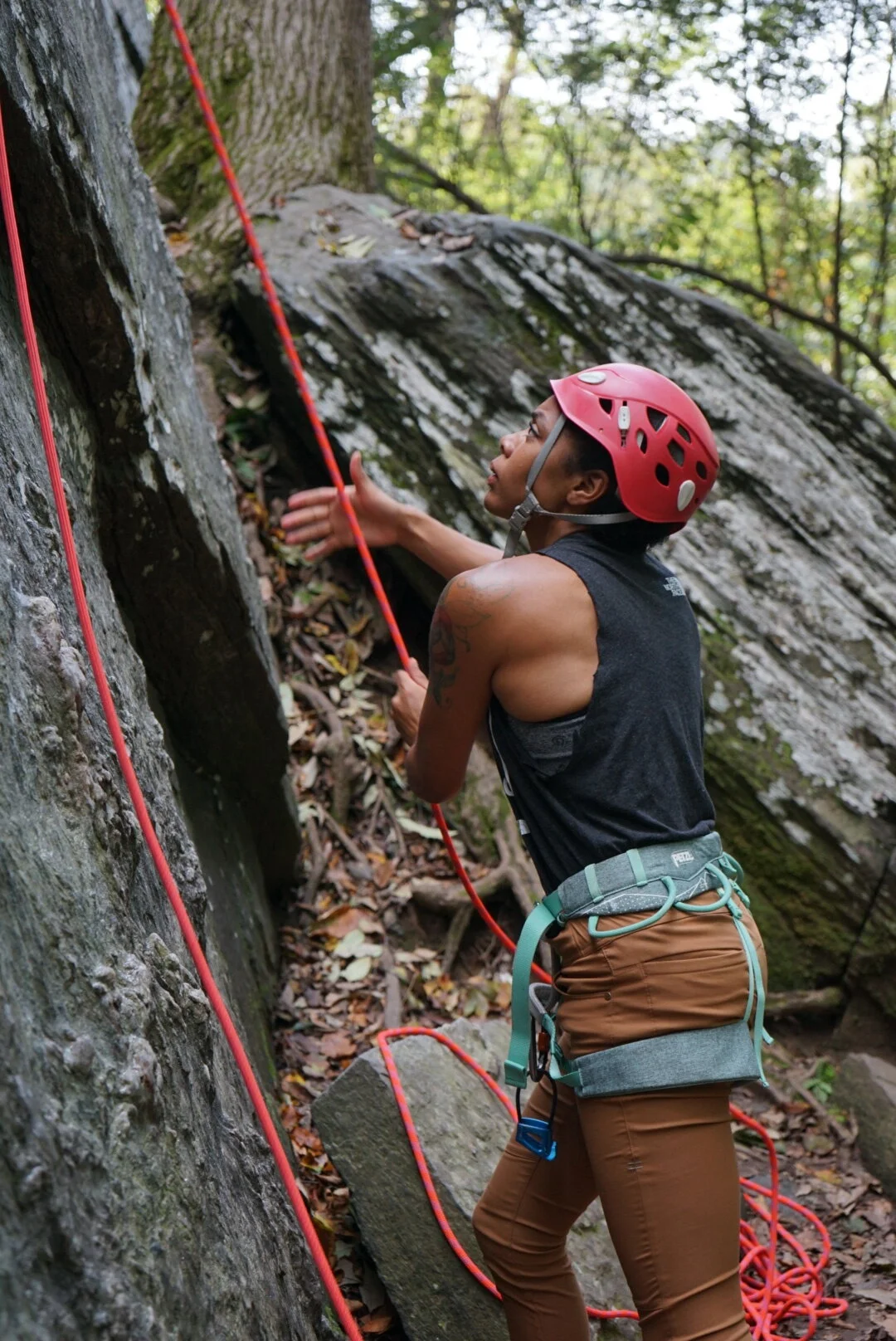 LRG_DSC03080.JPG