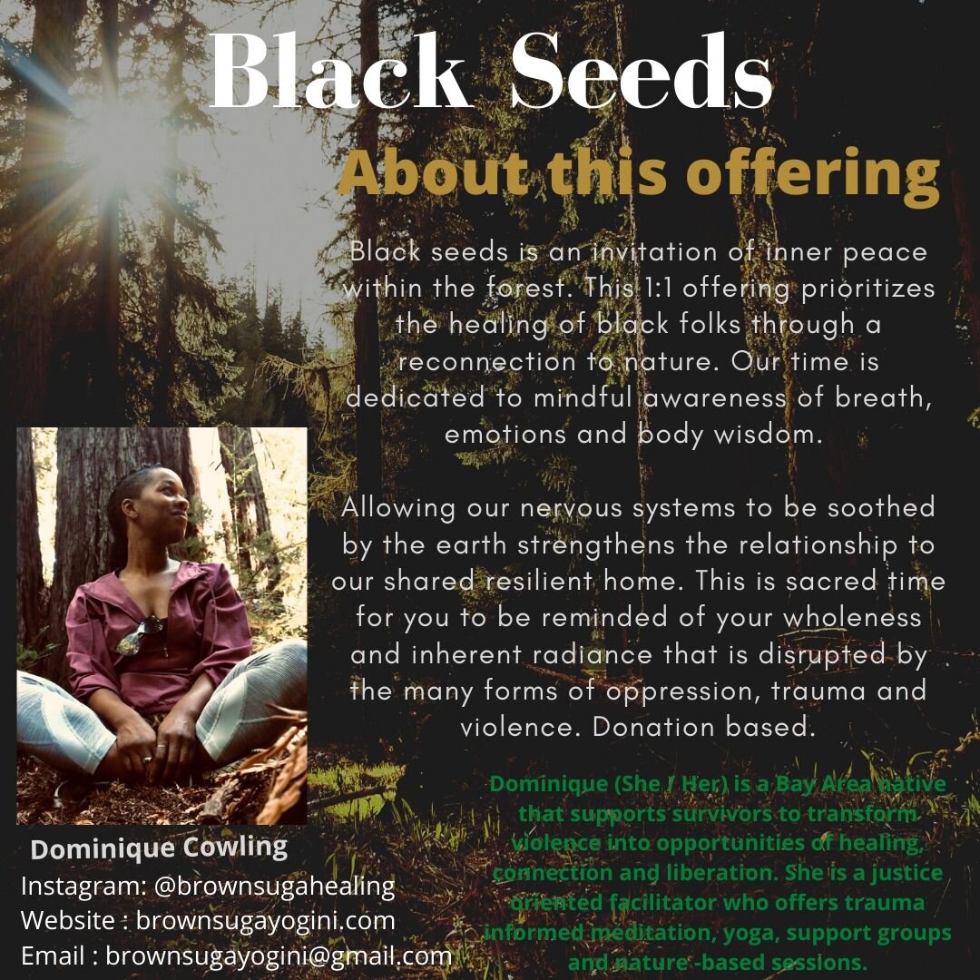 Black Seeds (5).jpg