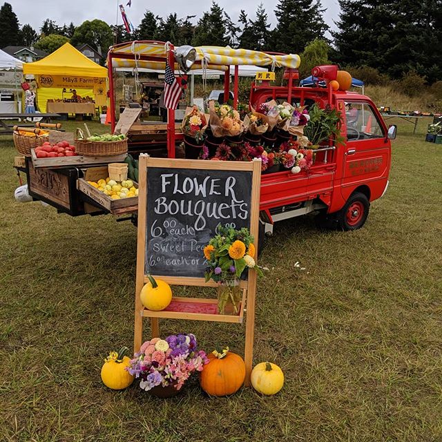 Wish you were here 🚒 
Can't be here? Don't fret 
shop www.saltyacresfarm.com for salt, edible flowers, and farm parties link in bio