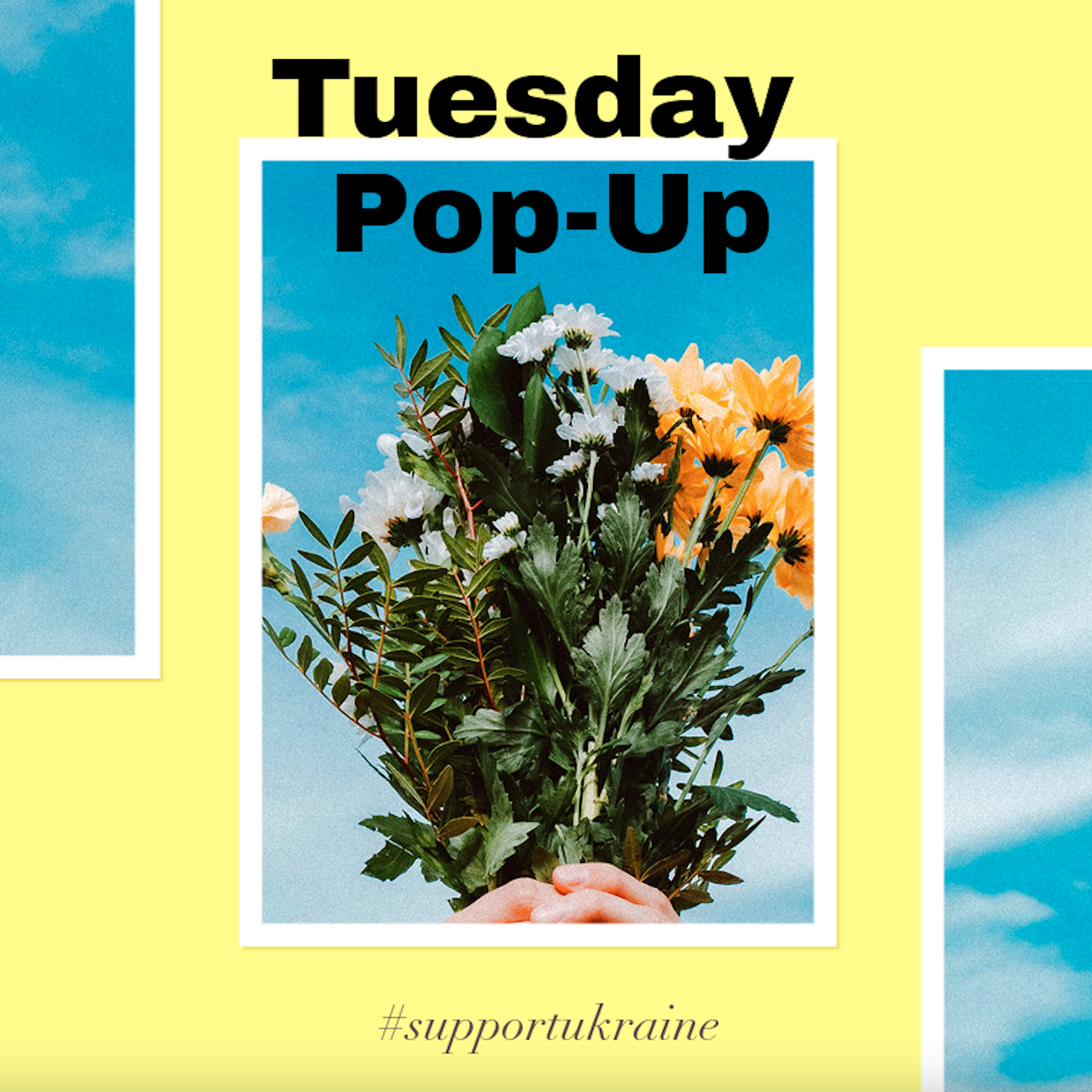 Tuesday Pop-Up Vol. 19