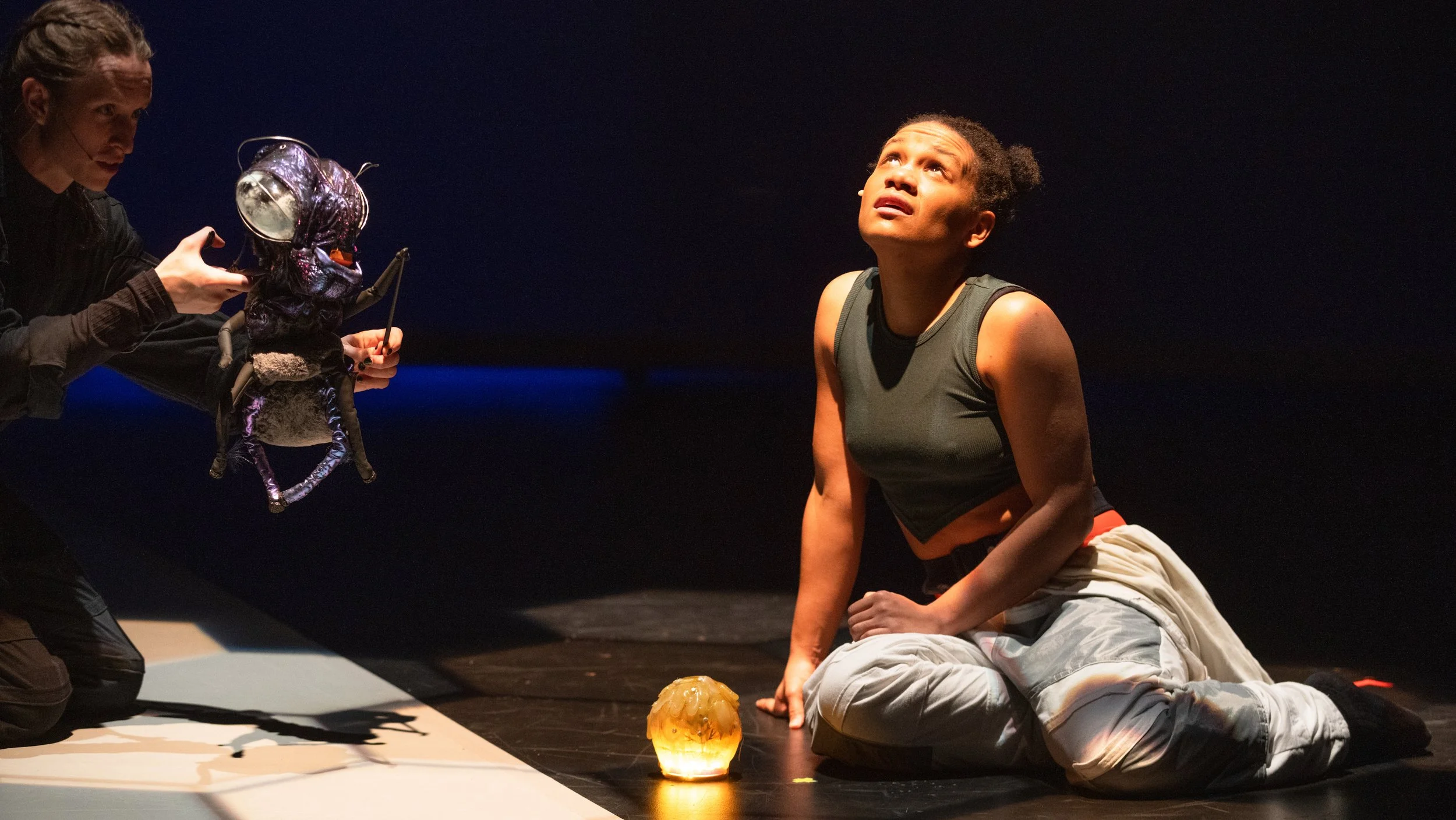 APIS - New Hazlett Theater, Pittsburgh PA 