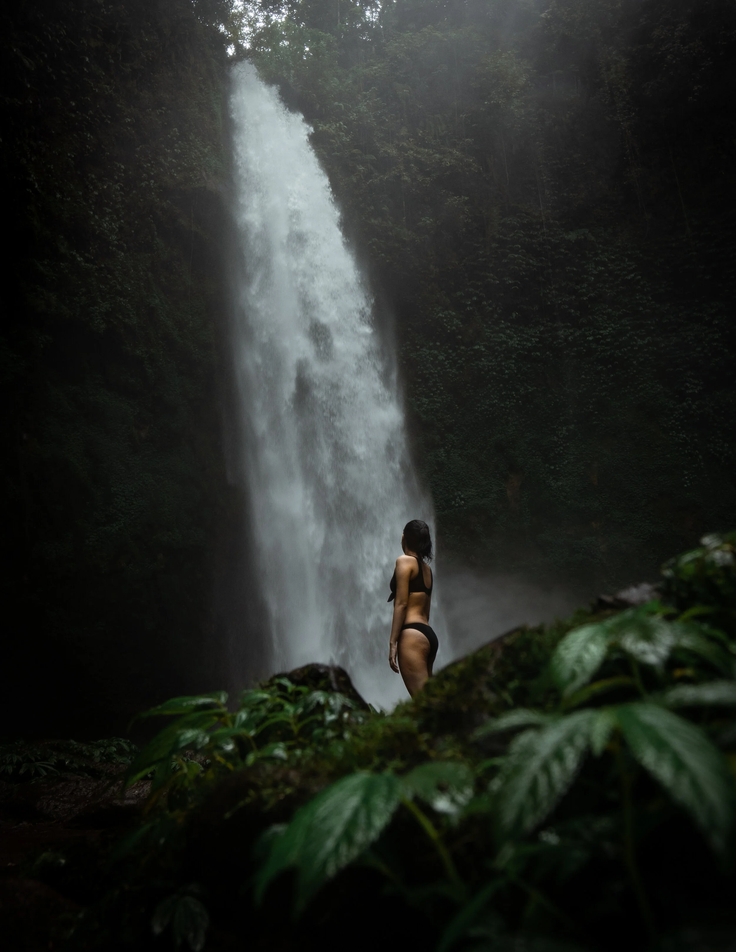 Nung-Nung A7III-1.JPG