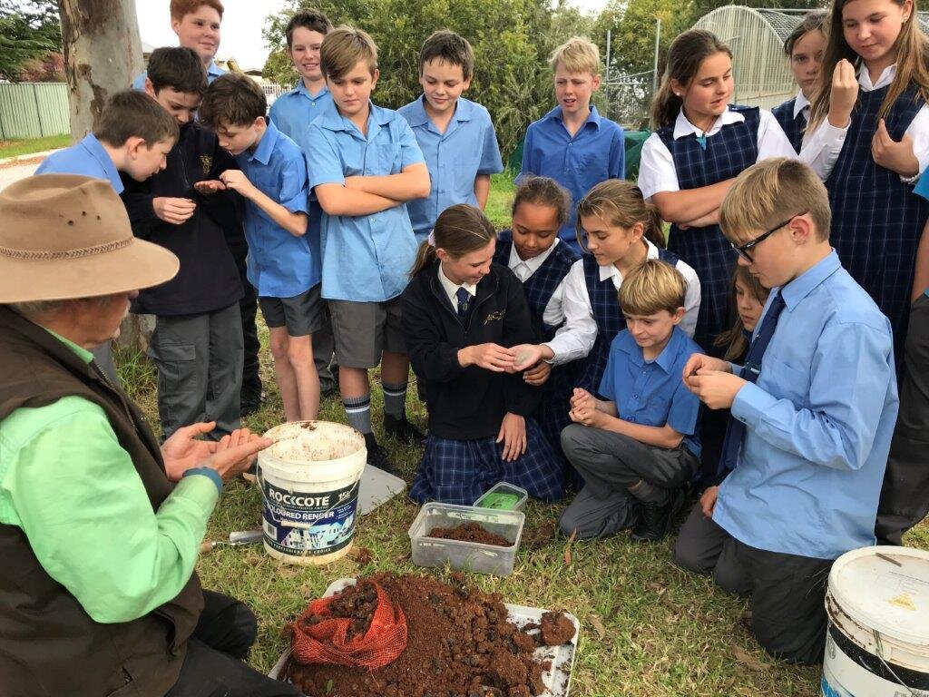 Students from Molong Central School in New South Wales digging up the cores to find Bubas bison have successfully bred