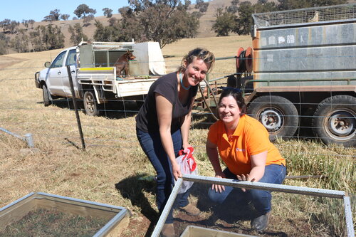 Landcare coordinator and producer Sally Kirby and DBEE’s Annie Johnson setting up an on-farm dung beetle nursery on Sally’s property at Molong, NSW