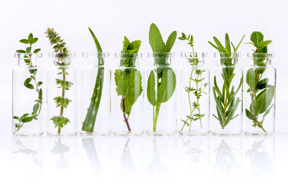 DoTerra-Essential-Oils.jpeg
