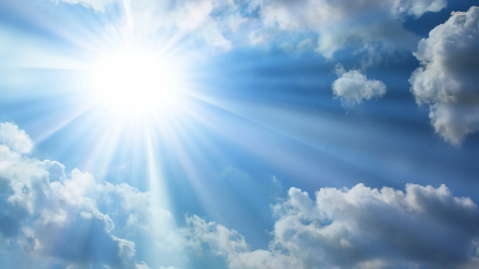 2596-sunshine-1920x1080-nature-wallpaper.jpg