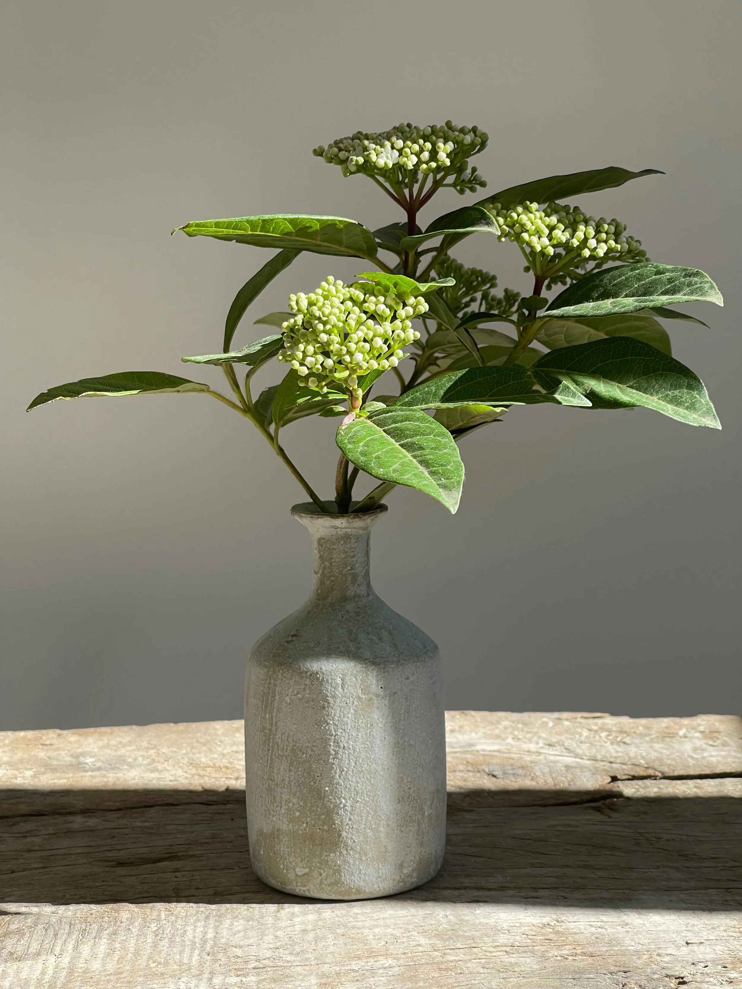 TropheeMacocotte-CraftGallery-Paris-JapaneseCeramics-MOffWhiteBottle4_2.jpg