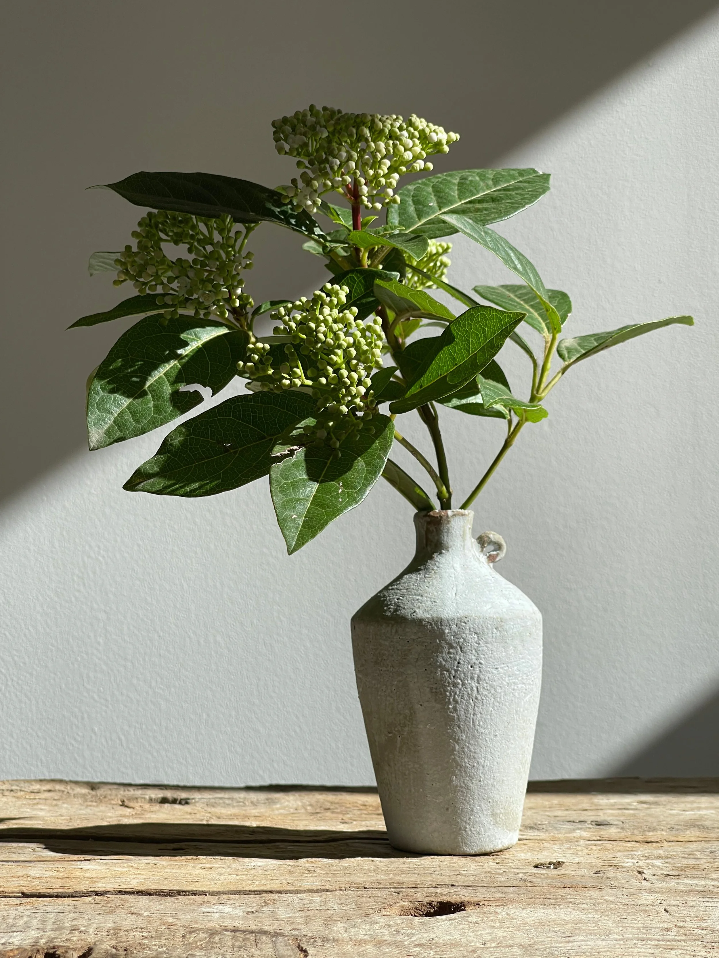 TropheeMacocotte-CraftGallery-Paris-JapaneseCeramics-SOffWhiteBottle3_3.jpg