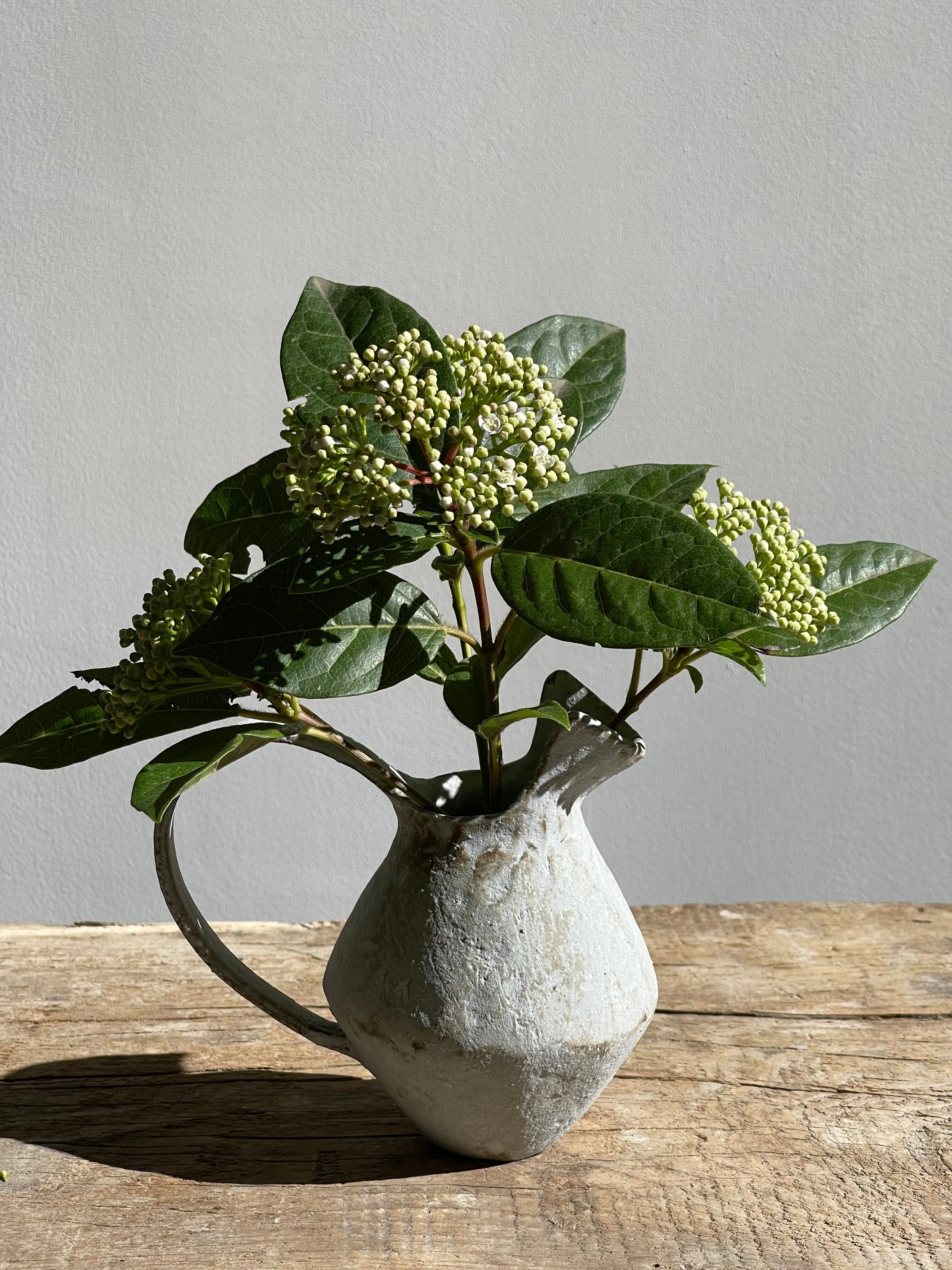 -Nobue Ibaraki • M Off-white round pitcher 1