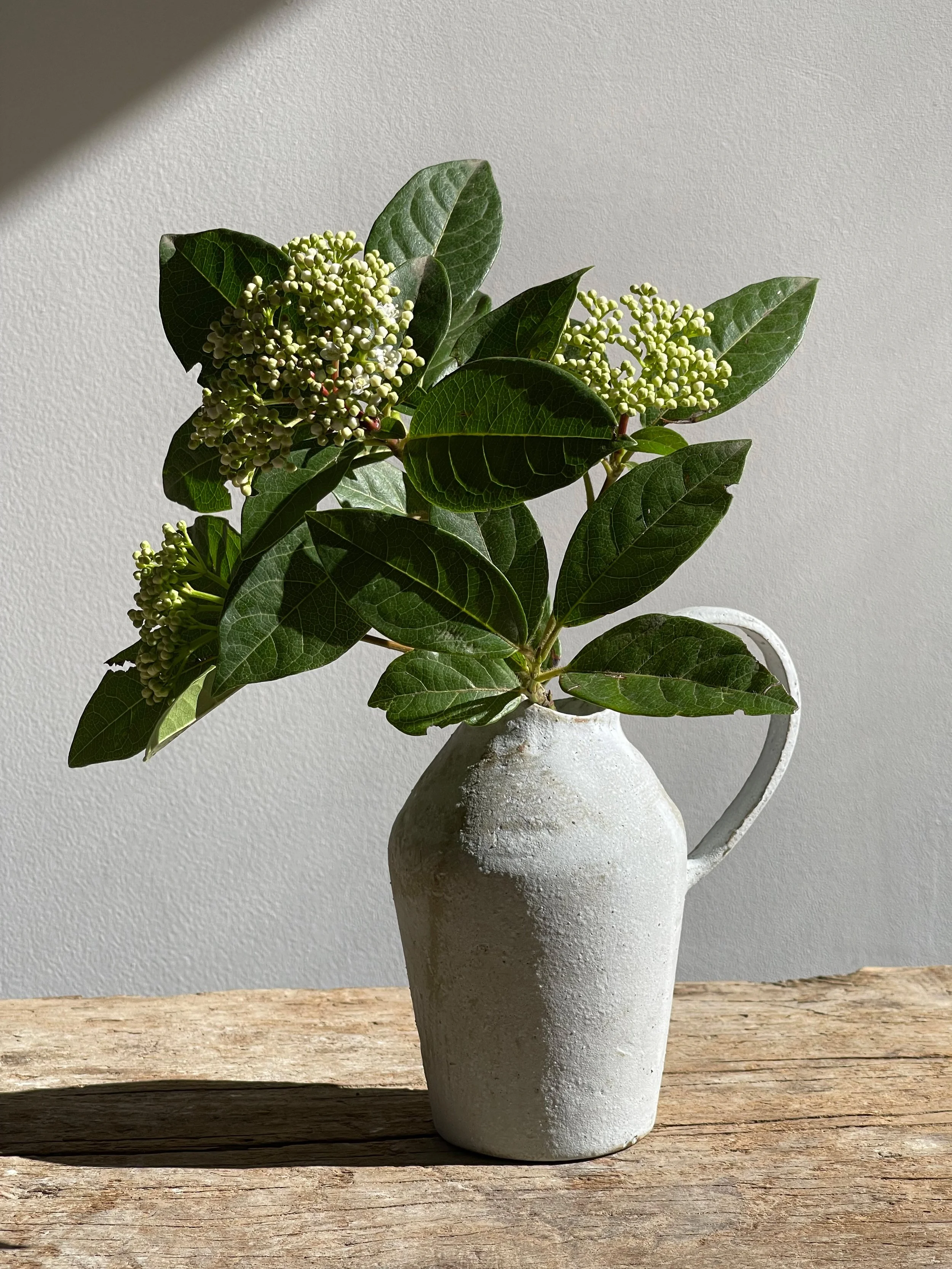 TropheeMacocotte-CraftGallery-Paris-JapaneseCeramics-Nobue-Ibaraki-MOffWhitePitcher1-2.jpg