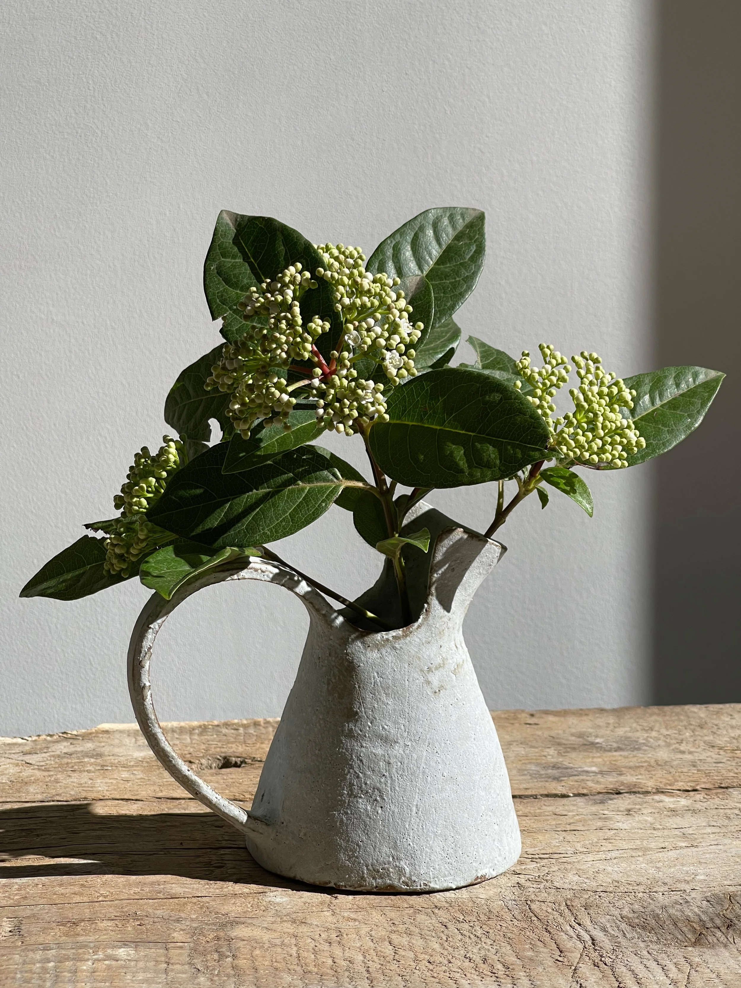 TropheeMacocotte-CraftGallery-Paris-JapaneseCeramics-Nobue-Ibaraki-MOffWhiteJug2_2.jpg