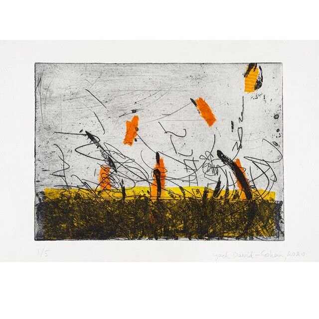 Yael David-Cohen, Landscape 2, etching

#made2020
#printmaking

@morleyprint
@morleygallery