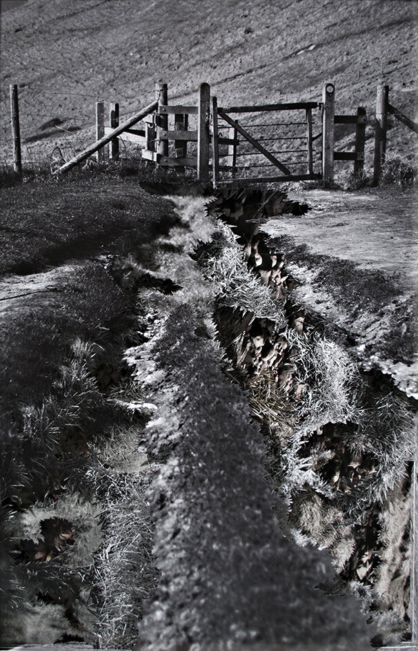 The Peaceful Walk, 38.8 x 25 x 3.5cm   Digital and Analogue Photography, Collage, 2011  