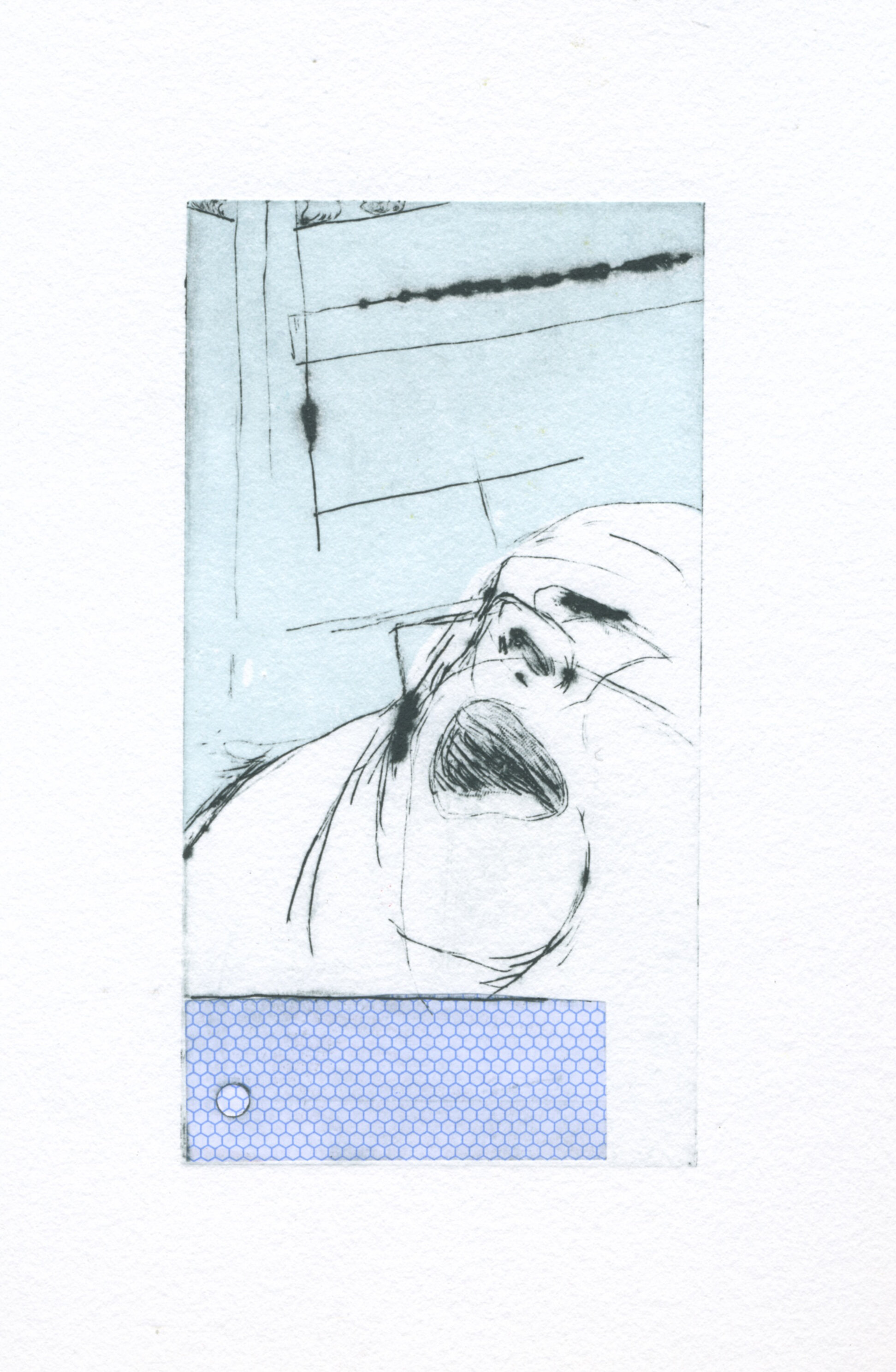 Dad Series no.9   Drypoint and relief roll   Image size: 12 x 6cm, paper size: 38 x 28cm, printed on BFK Rives 250gsm    