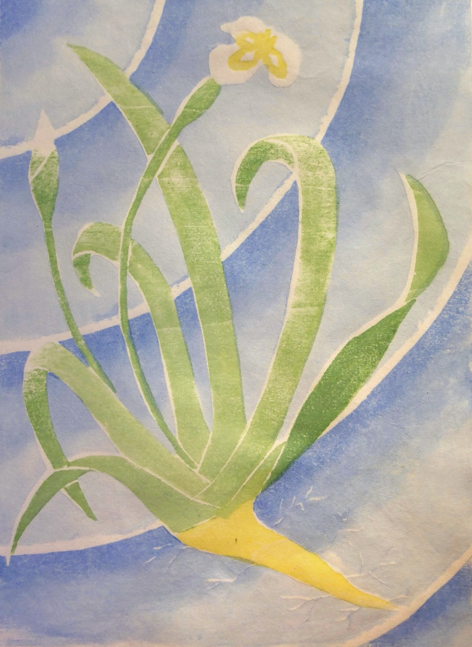 FloatingArtist : Veronica HowardJapanese woodcut on Hosho paper, 20 x 14.5 cmThe leaves and roots of the iris are put into bath water