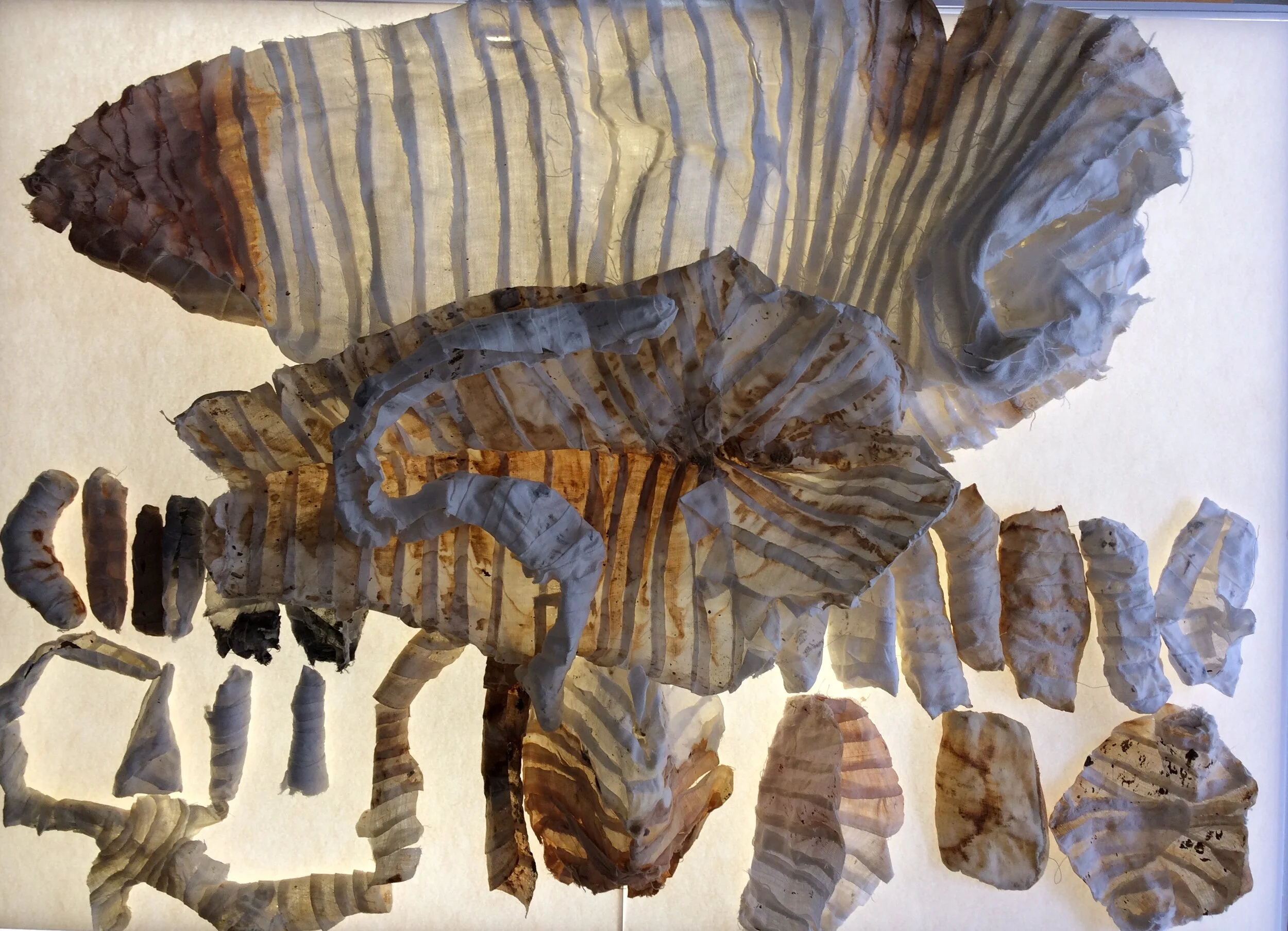 Cass Breen, Installations