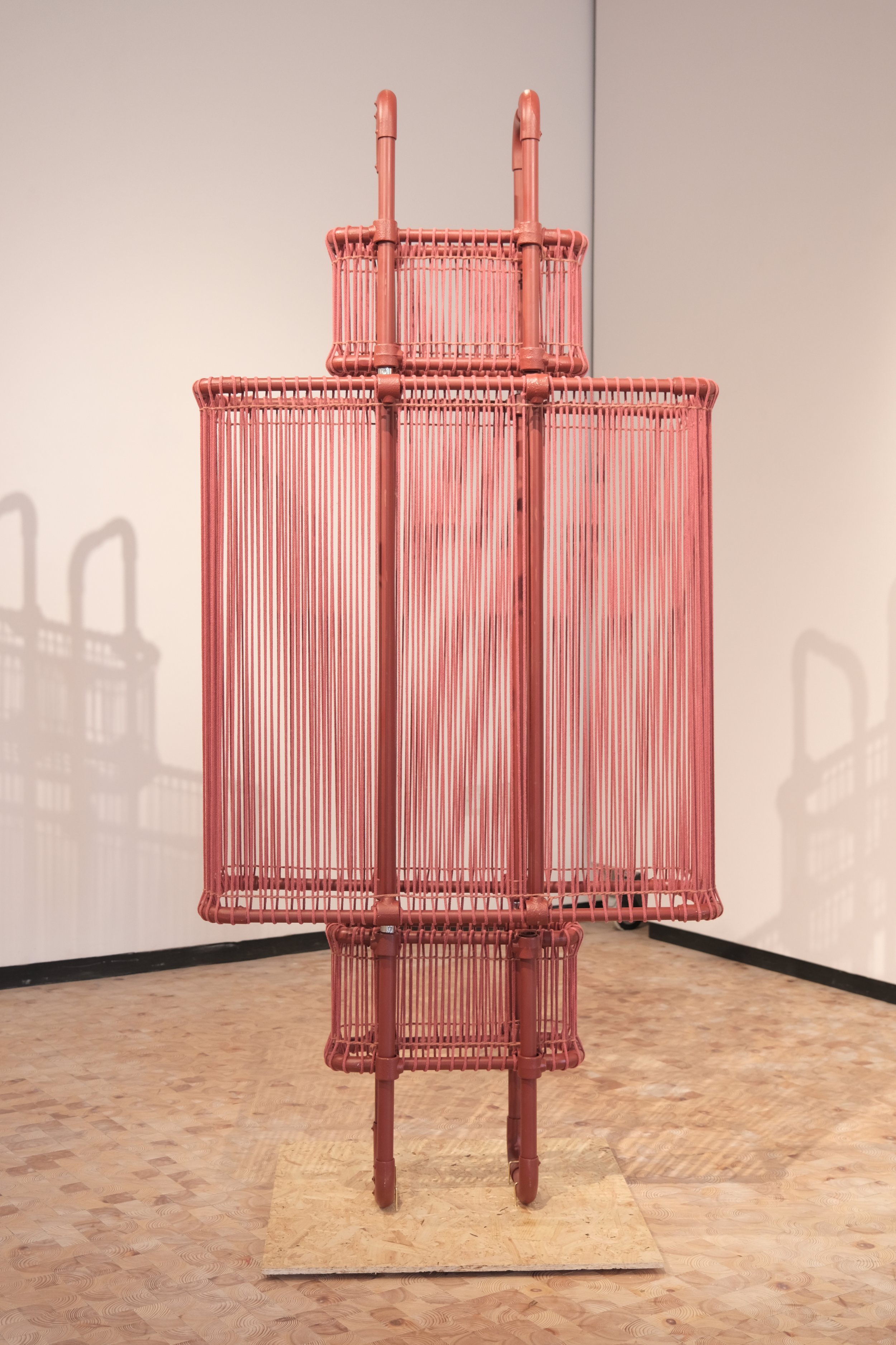 Eimhin Moran Eight Heads.JPG