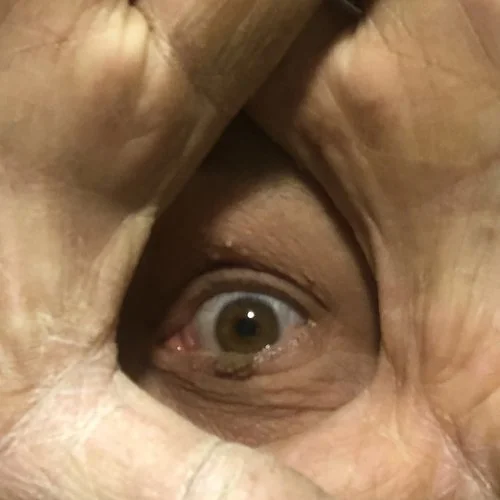 Reveal: Printmaking, Bookbinding and Sculpture