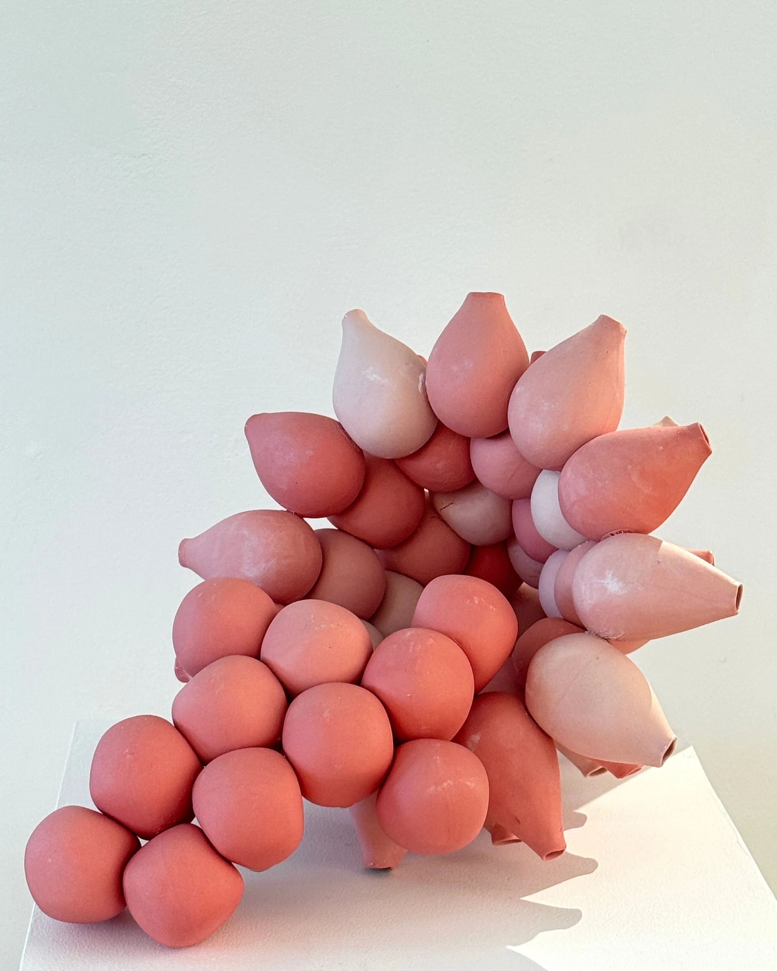 NOW ON: HE Ceramics
24-27 June 2026
Morley Gallery

The first of our 4 Graduate shows! Crafted by Morley College ceramics graduates, showcasing some amazing, unique and playful pieces. This show presents ideas around society, nature and the human con