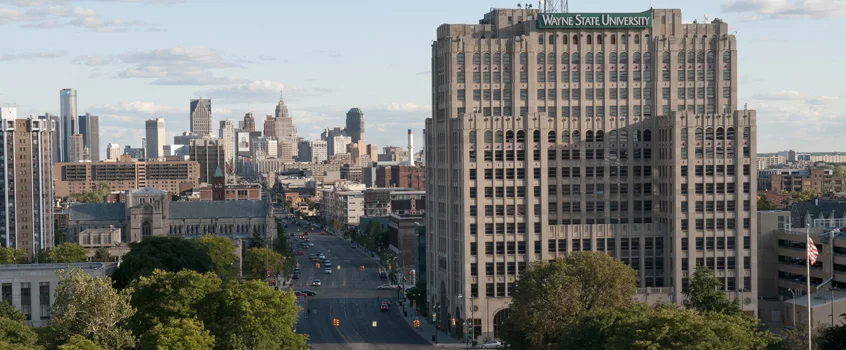 ll.m._-_living_in_detroit_and_michigan.jpg